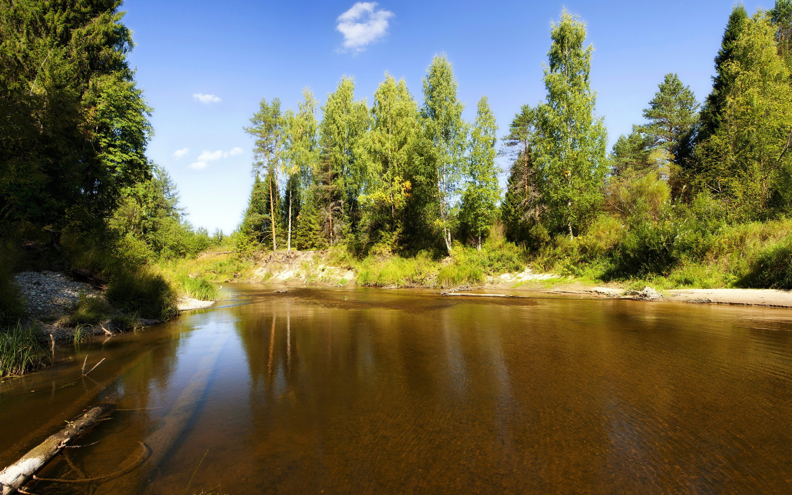 Wallpapers river stream bottom on the desktop