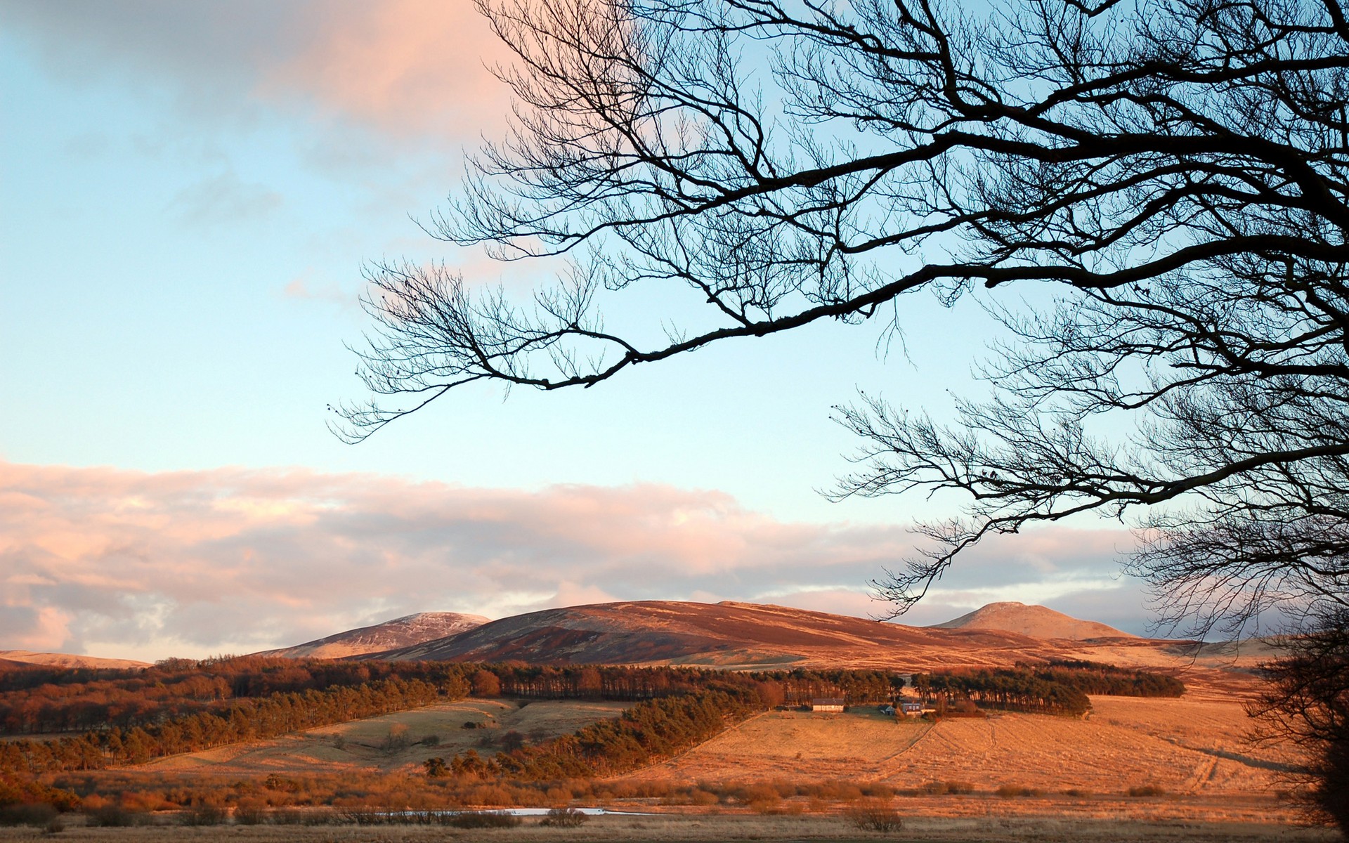 Wallpapers steppe hills trees on the desktop