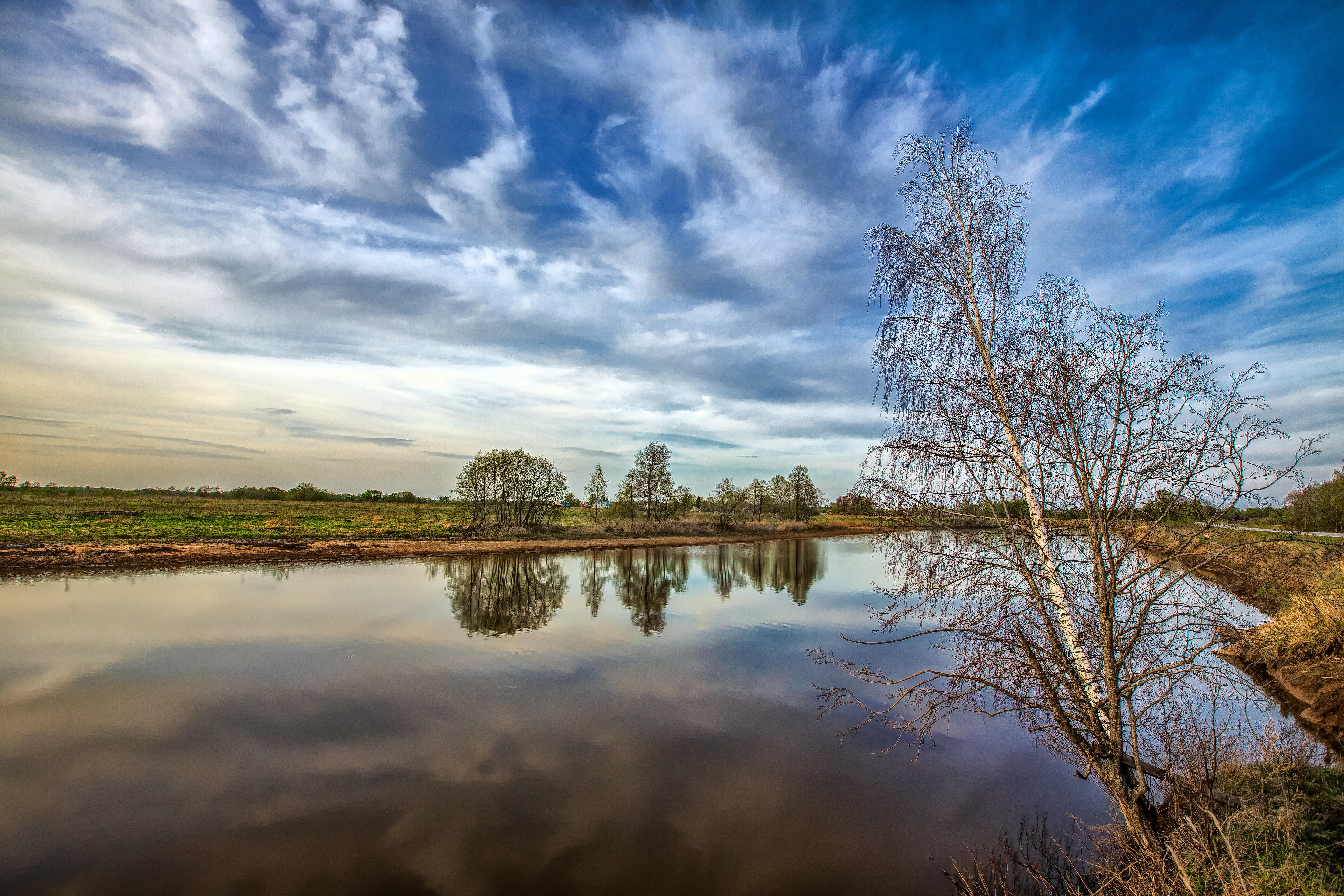 Free photo Picture about trees, water