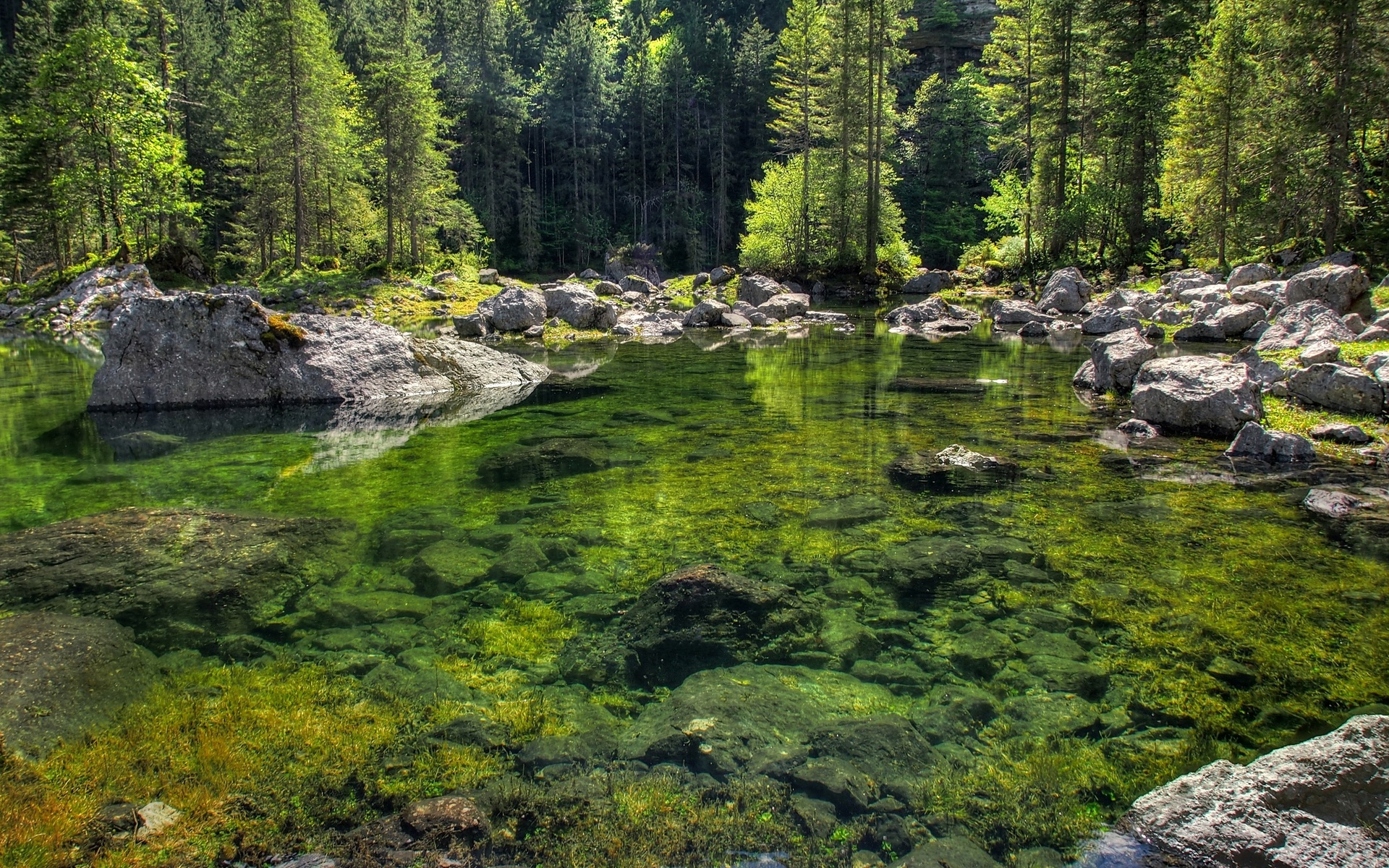 Wallpapers nature pond shore on the desktop