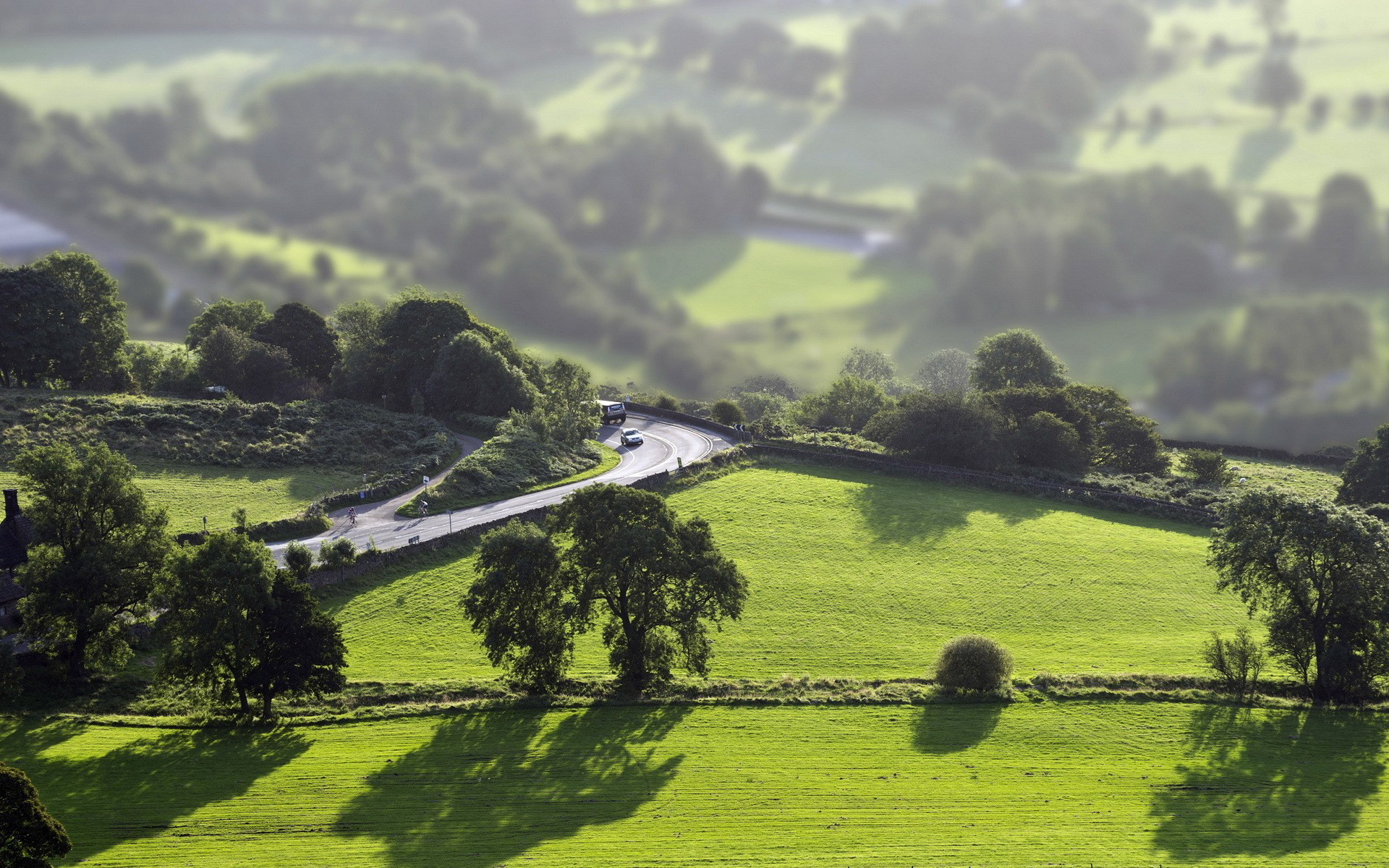 Wallpapers asphalt grass landscapes on the desktop