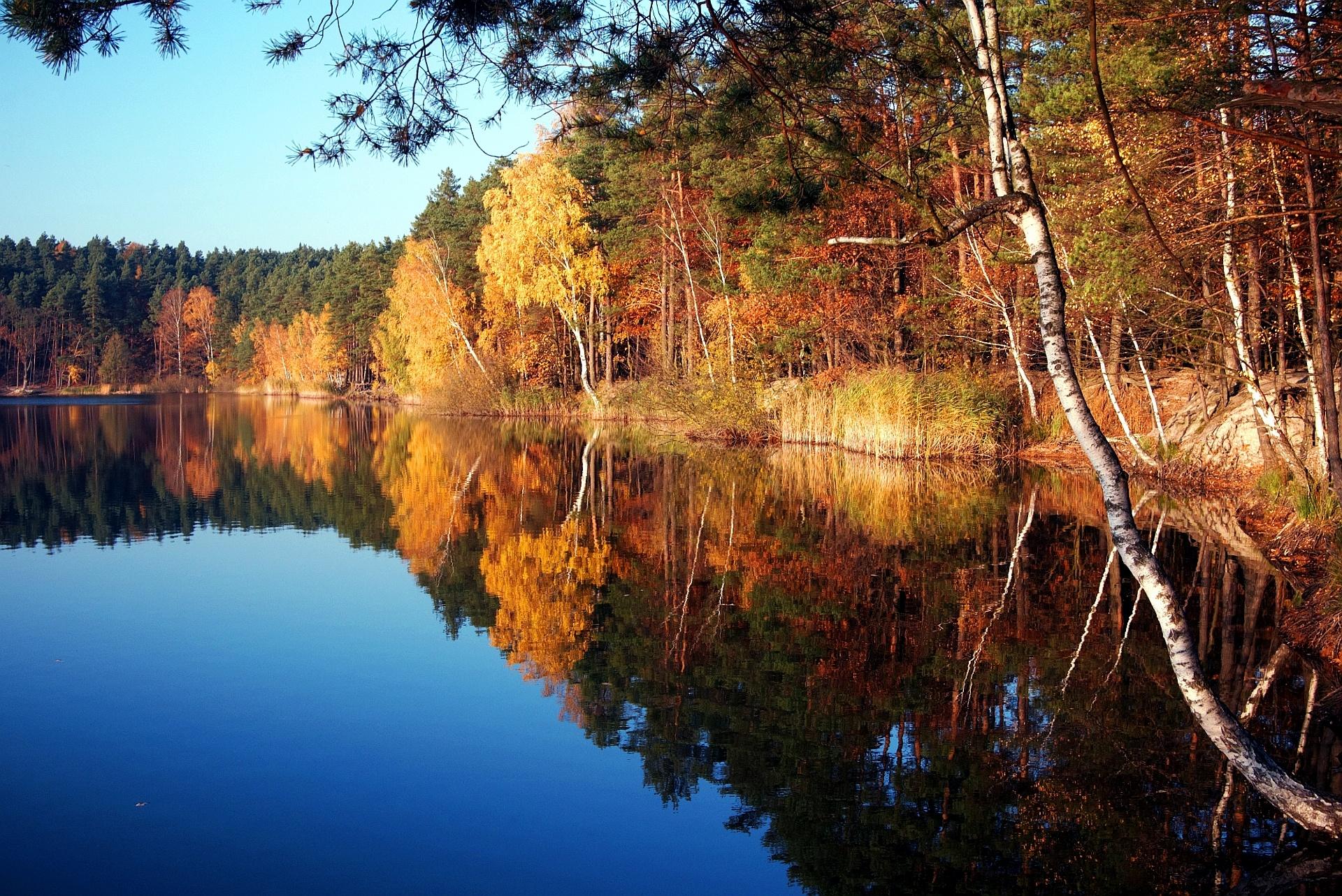 Обои silver lake turawa poland на рабочий стол