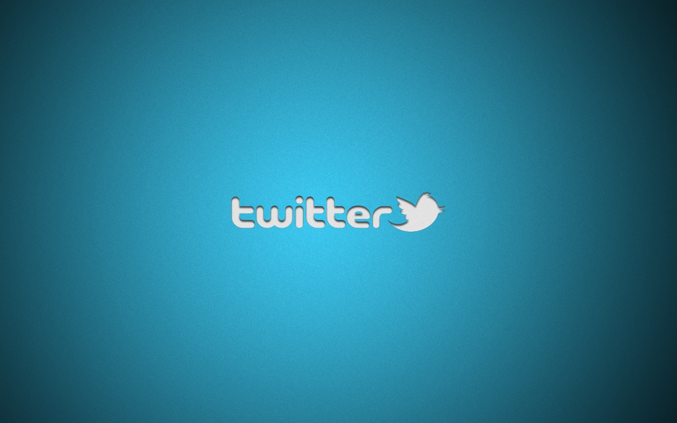 Wallpapers twitter logo inscription on the desktop