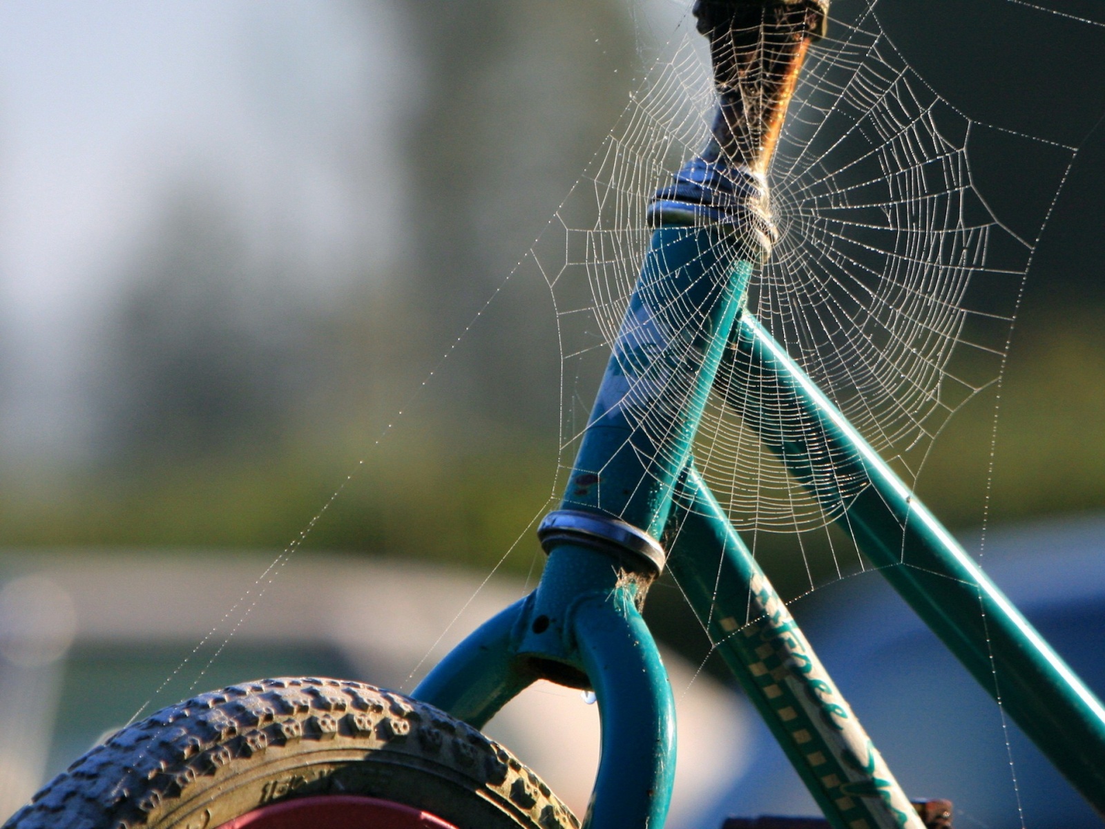 Wallpapers bicycle frame wheel on the desktop