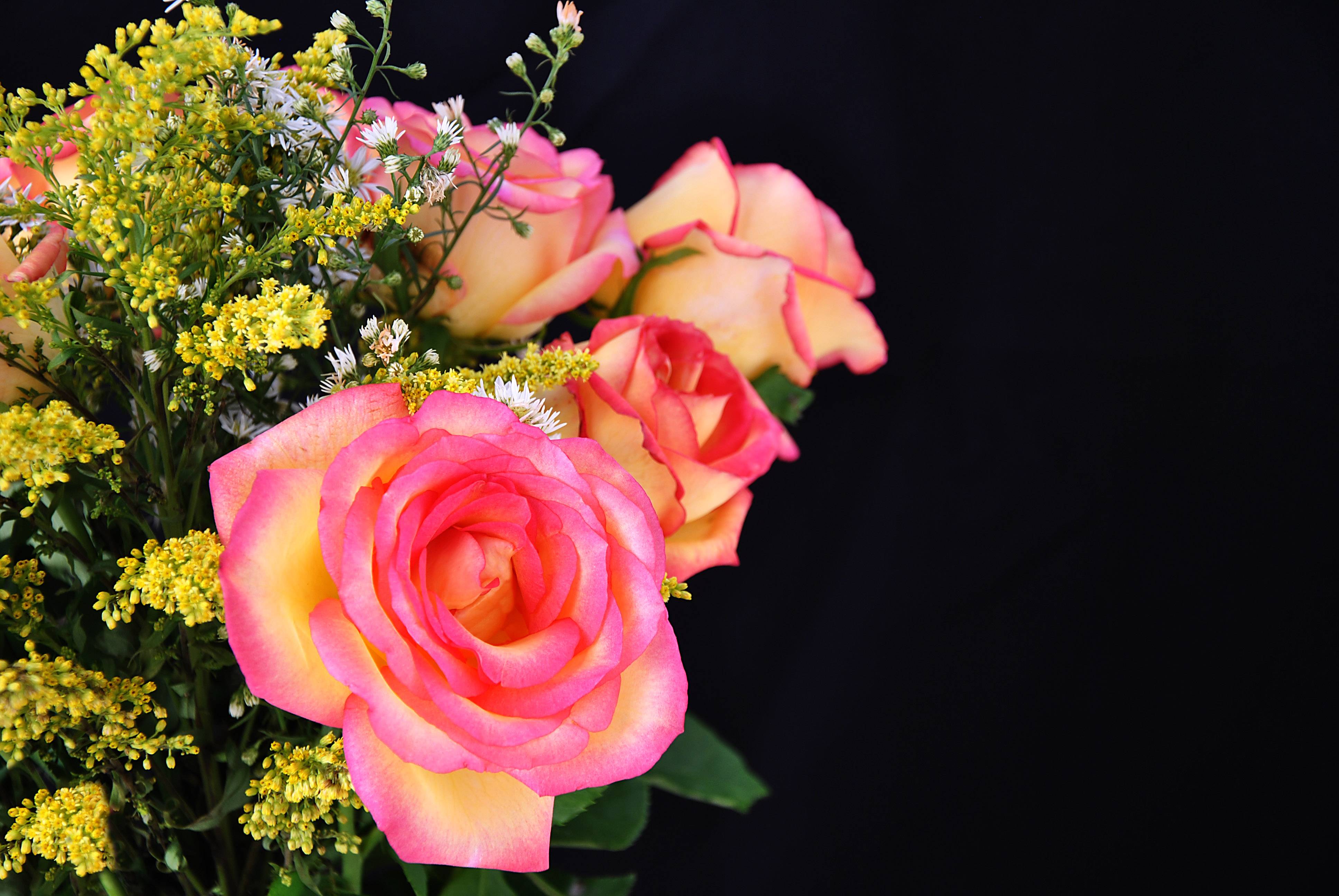Обои цветок букет роз цветы на рабочий стол