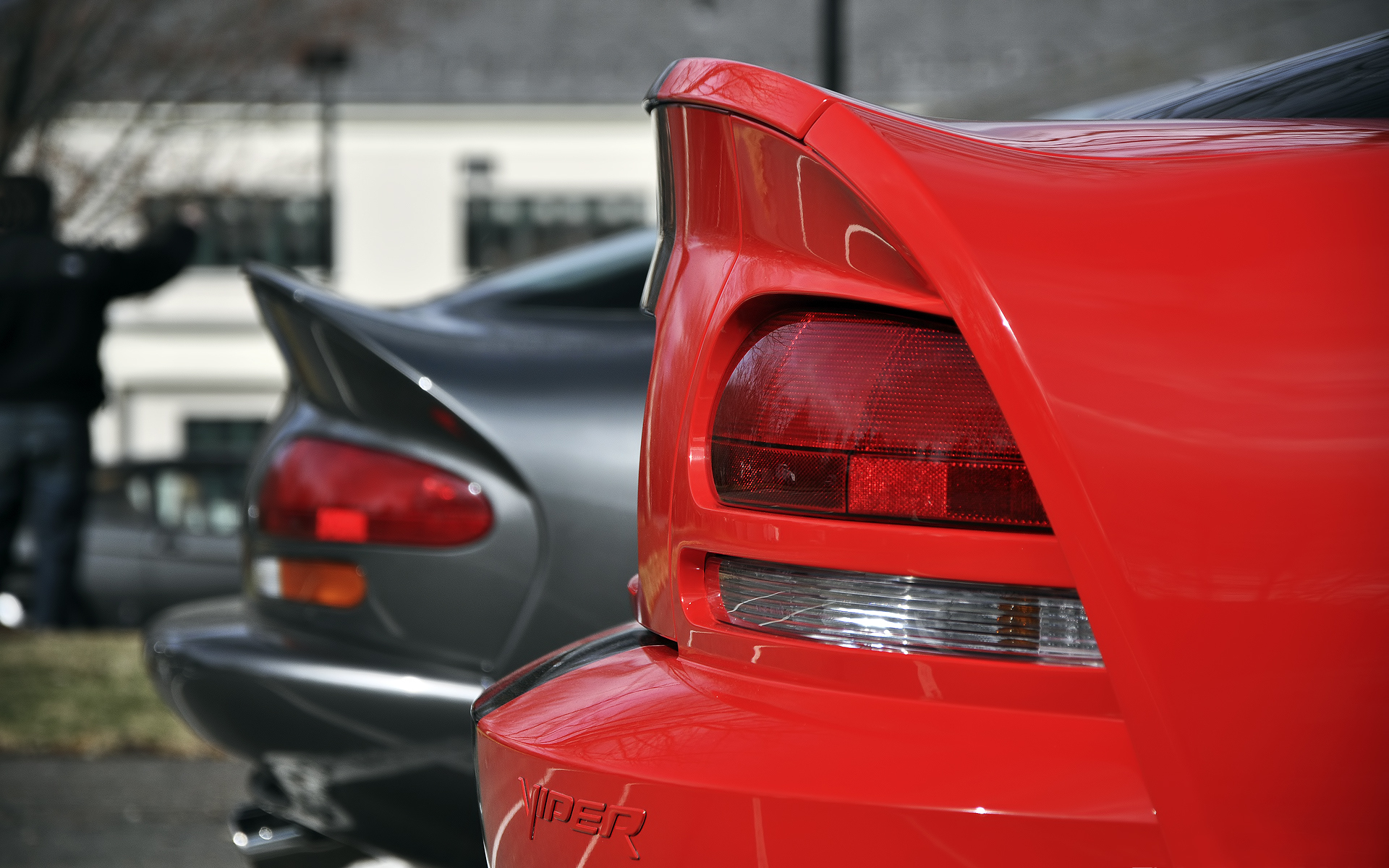 Wallpapers dodge viper red rear on the desktop