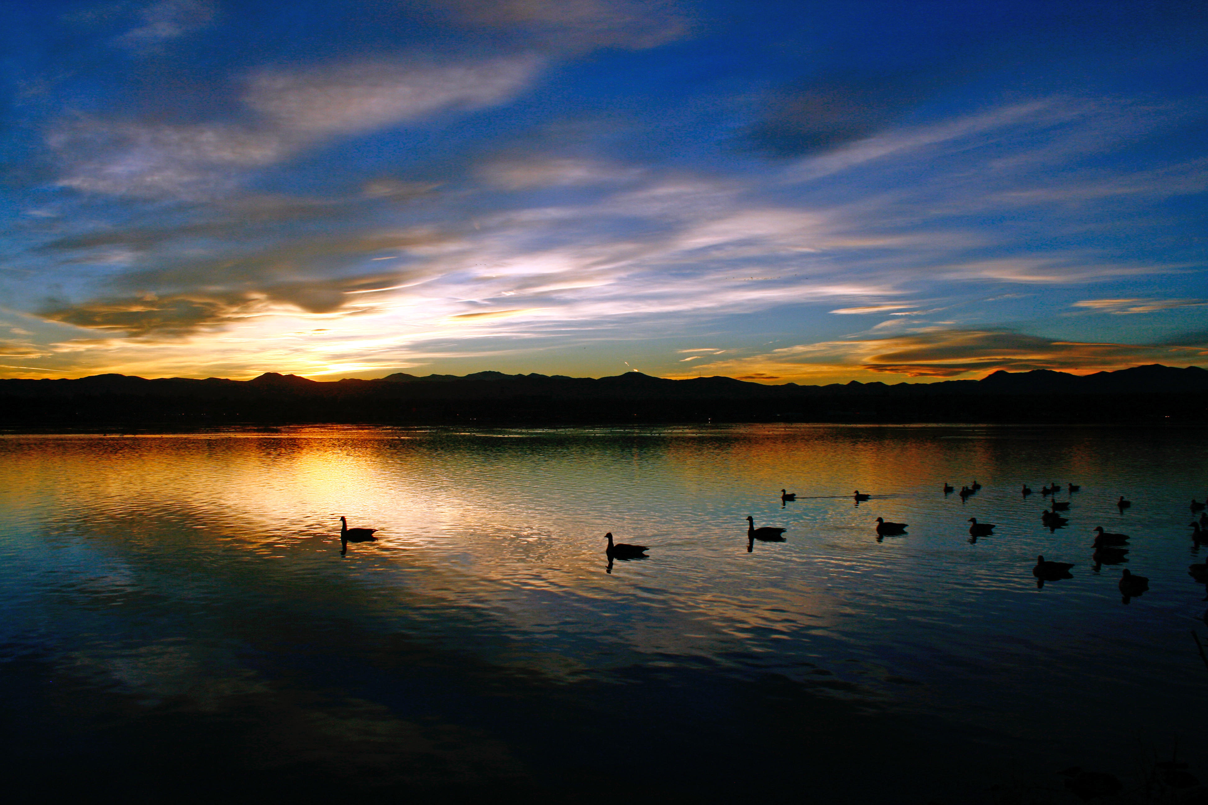Wallpapers lake sunset ducks on the desktop