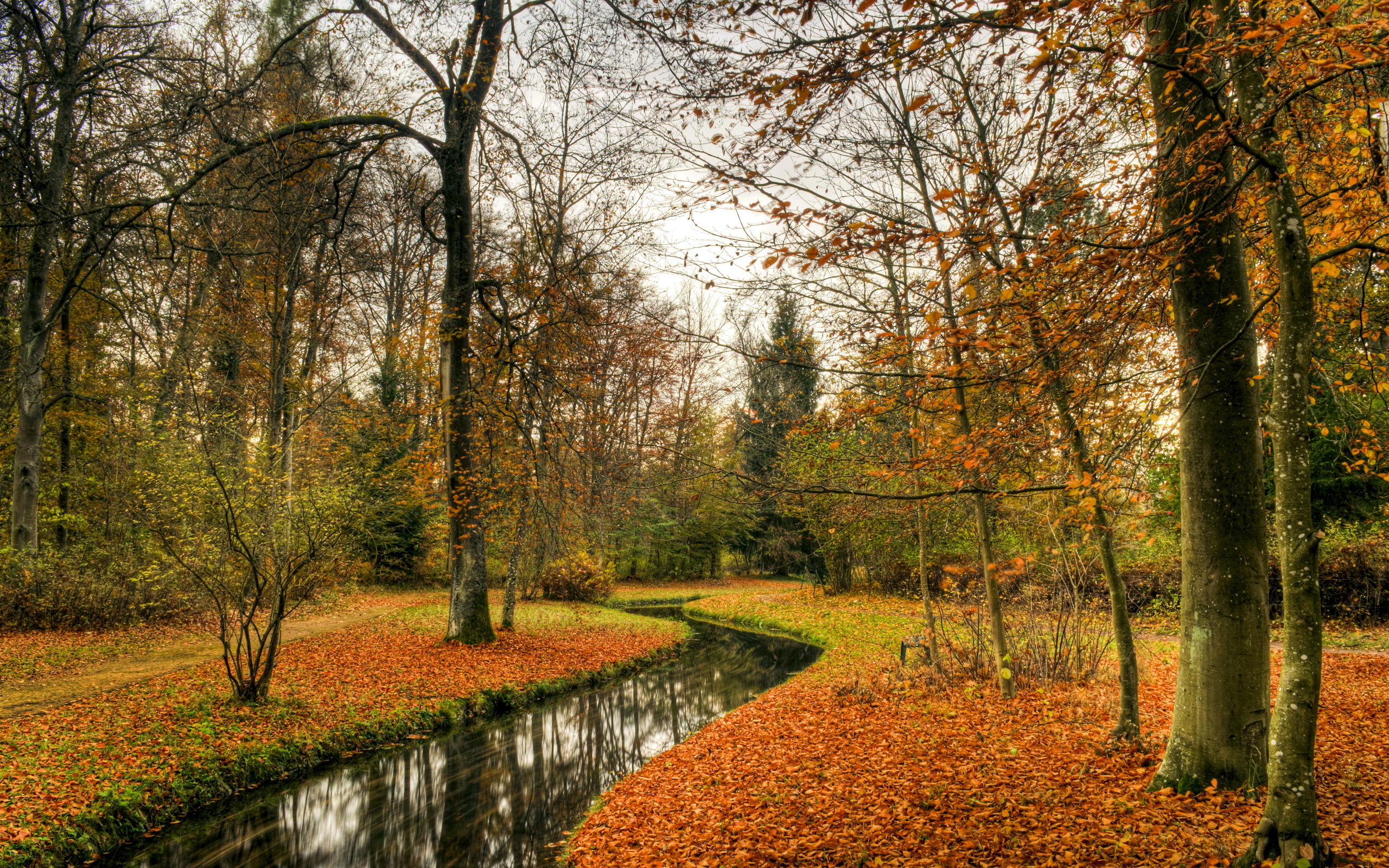 Wallpapers autumn nature leaf fall on the desktop