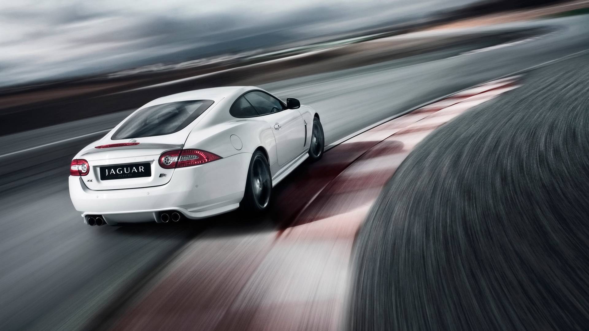 Wallpapers new Jaguar jaguar white on the desktop