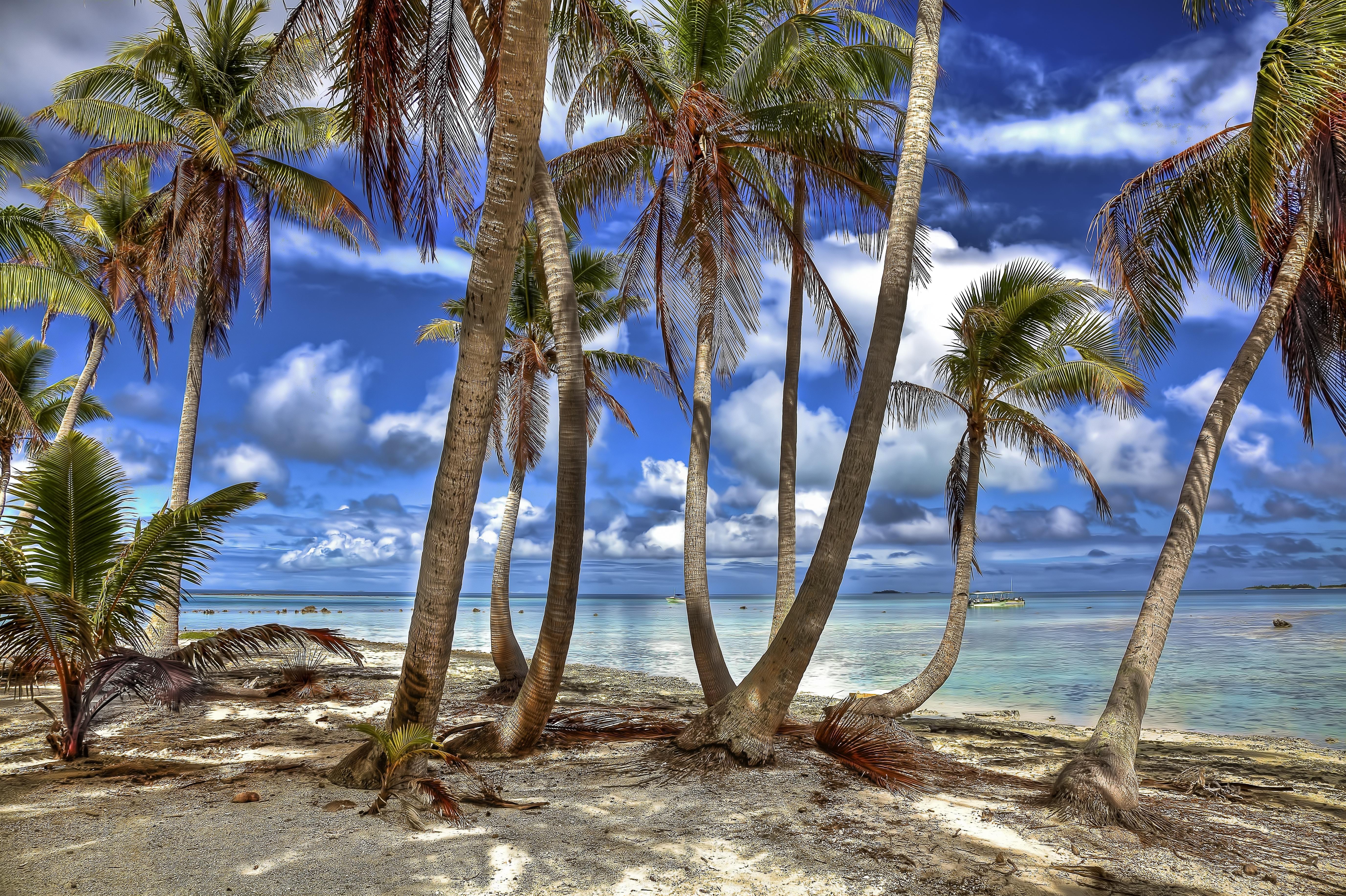 Wallpapers French Polynesia Pacific Ocean landscape on the desktop