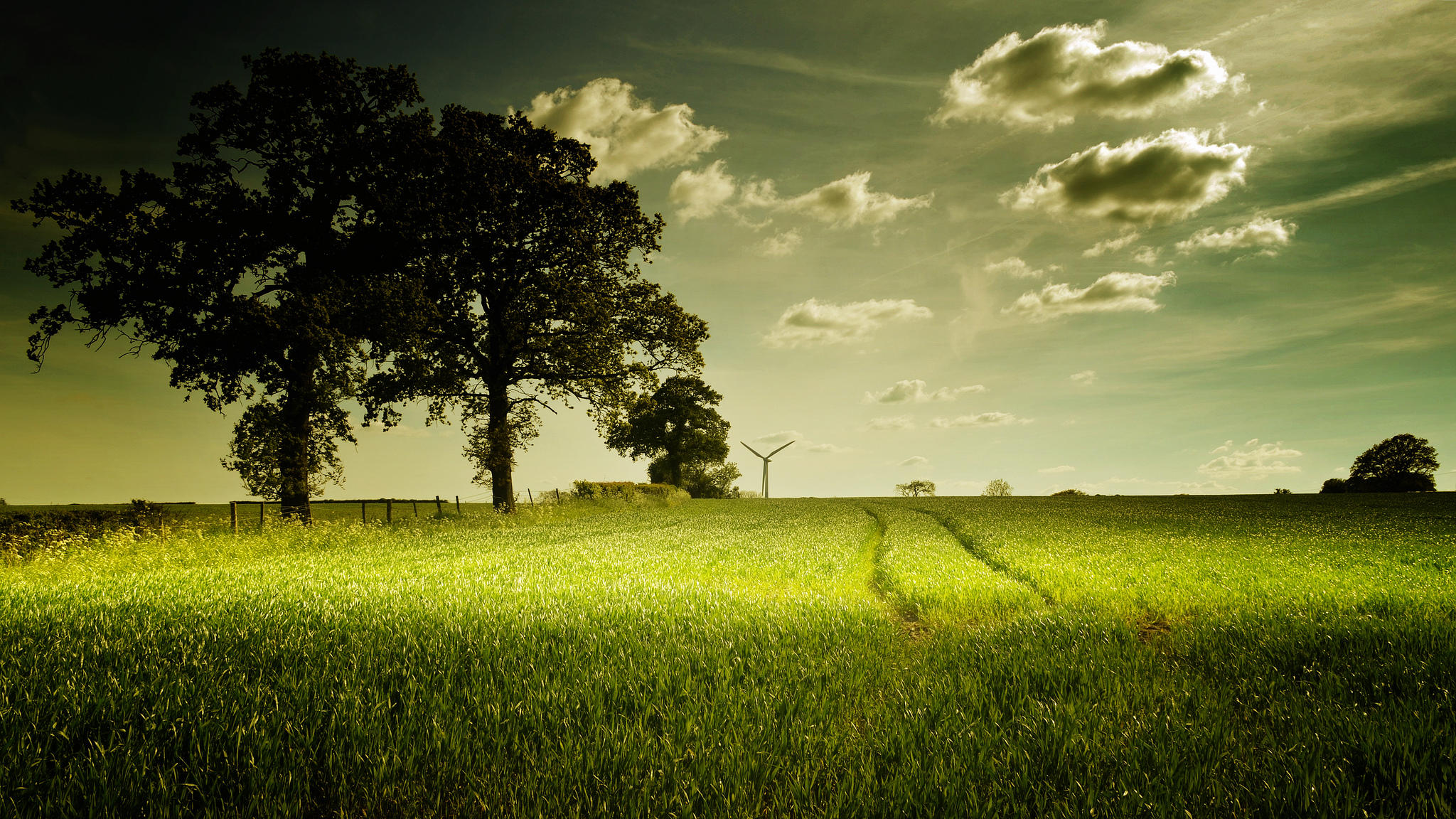 Free photo Free picture of a field, trees