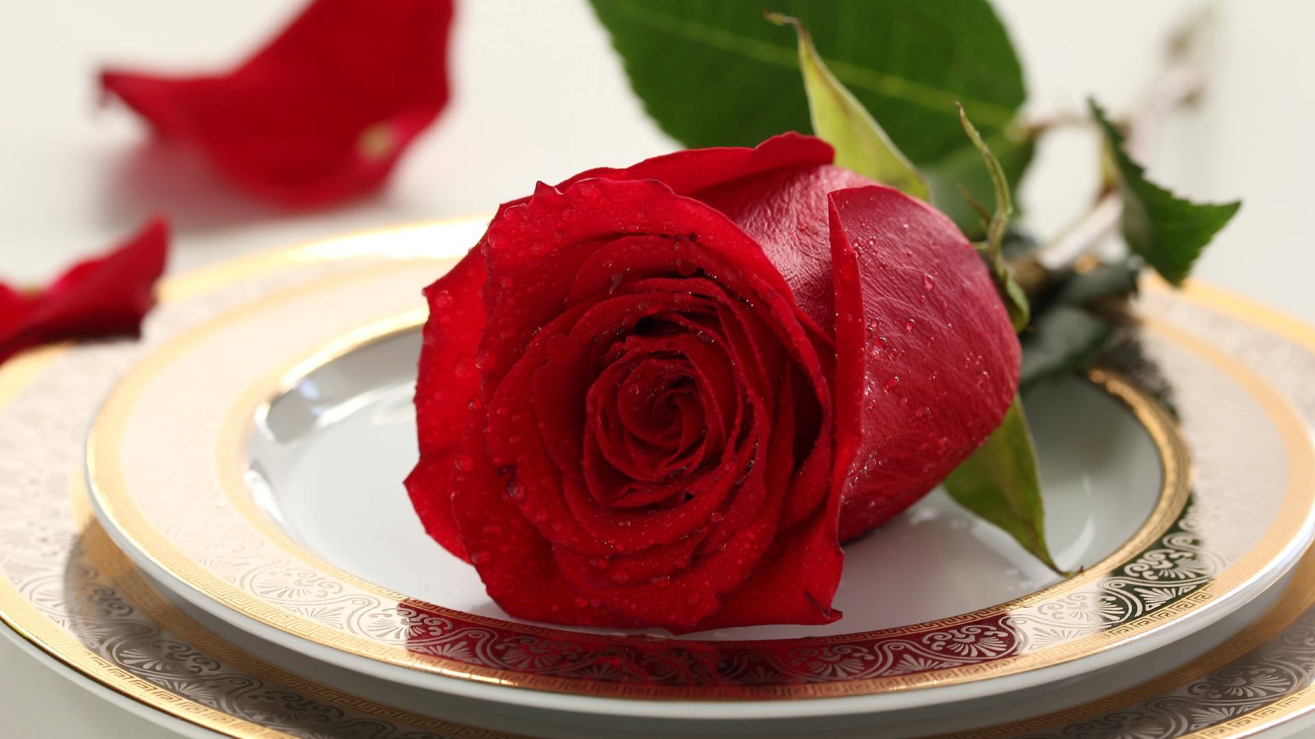 Обои тарелки роза красный на рабочий стол