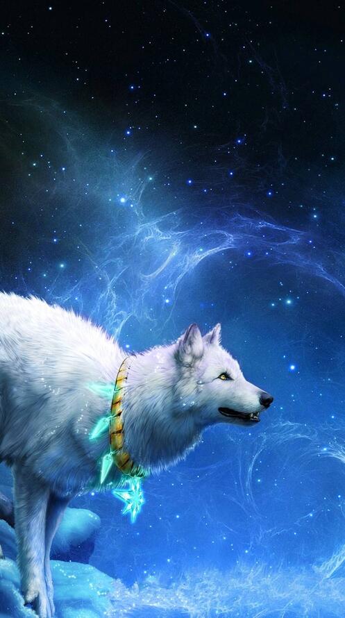 Обои белый волк 3d art на рабочий стол