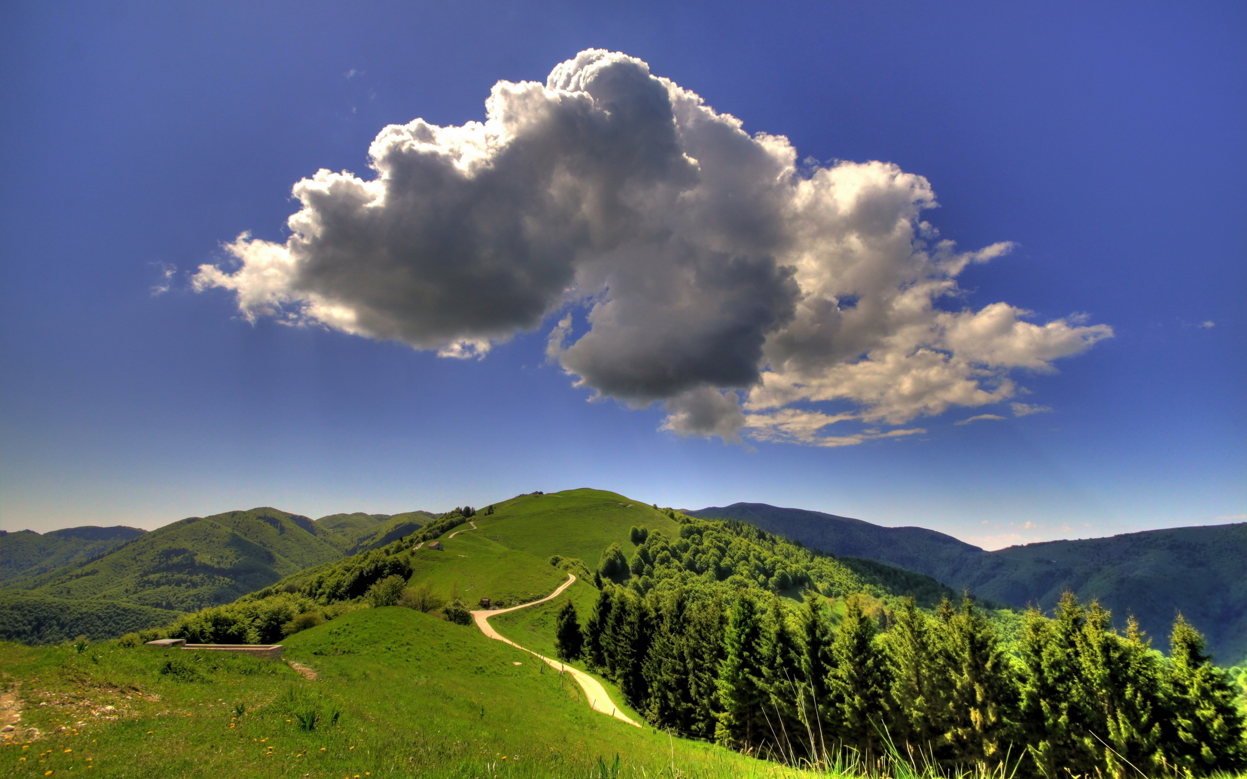 Wallpapers cloud hills trees on the desktop