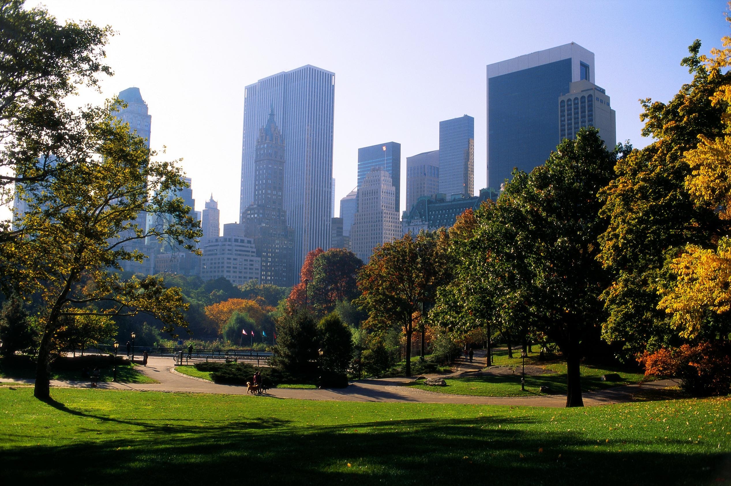 Free photo A large park in a city with skyscrapers