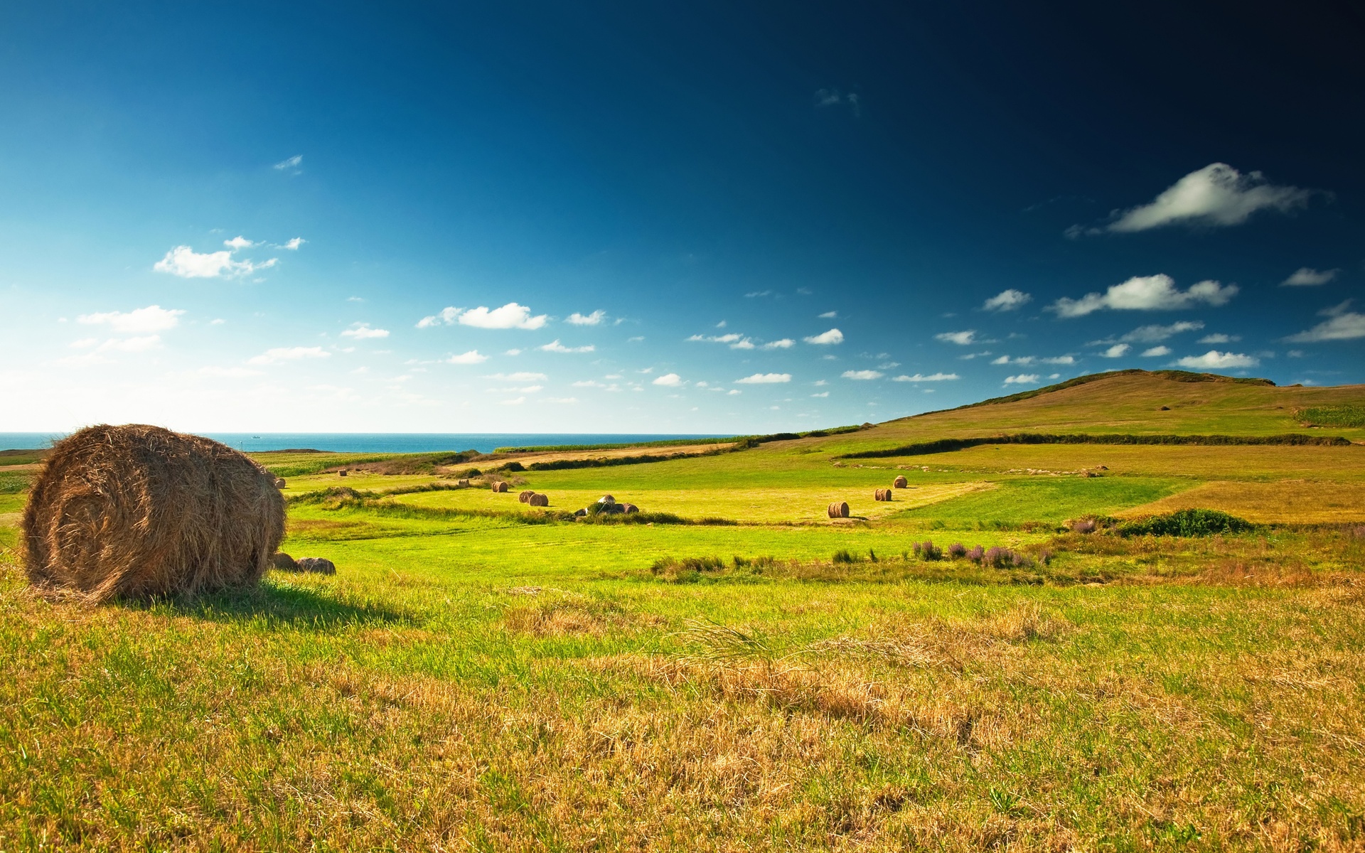 Wallpapers field sky blue on the desktop