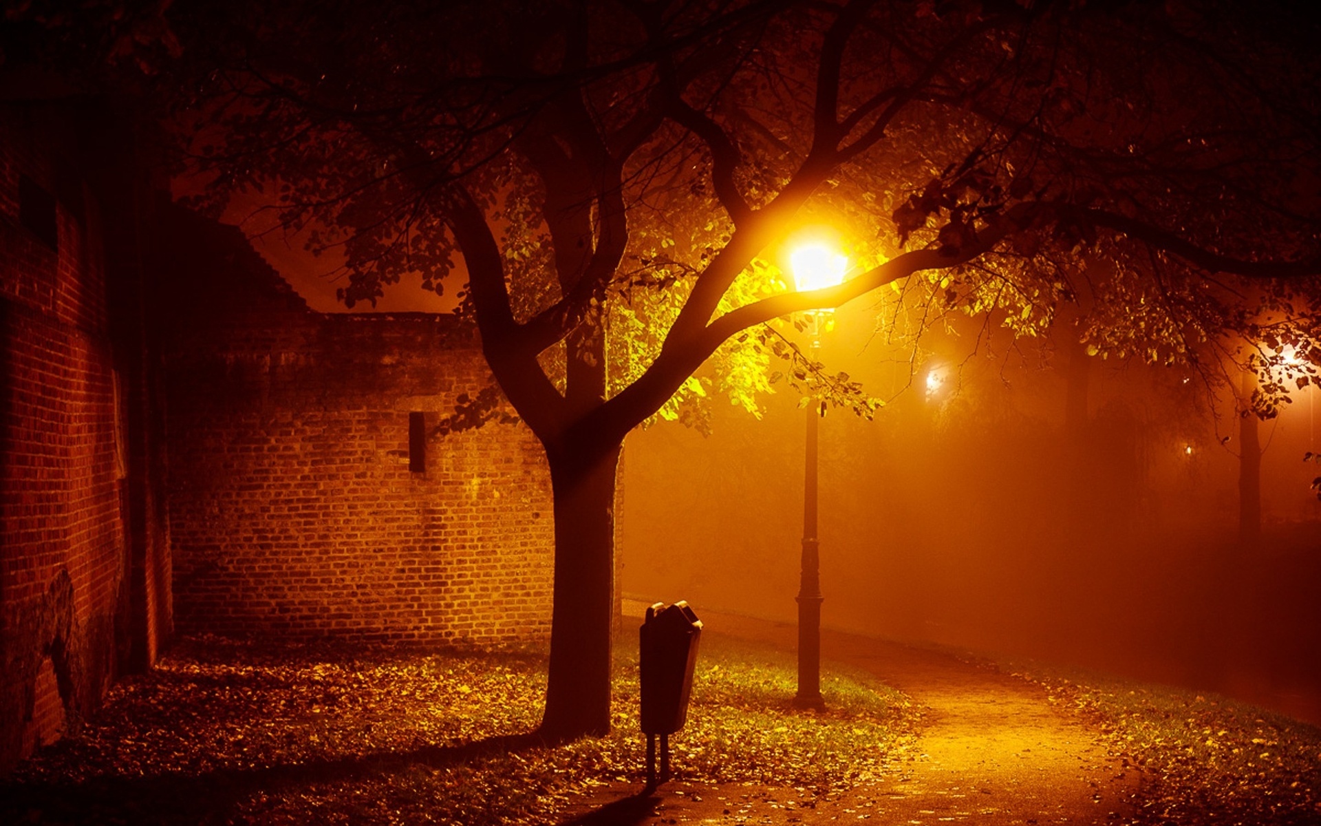 免费照片夜街上的孤灯