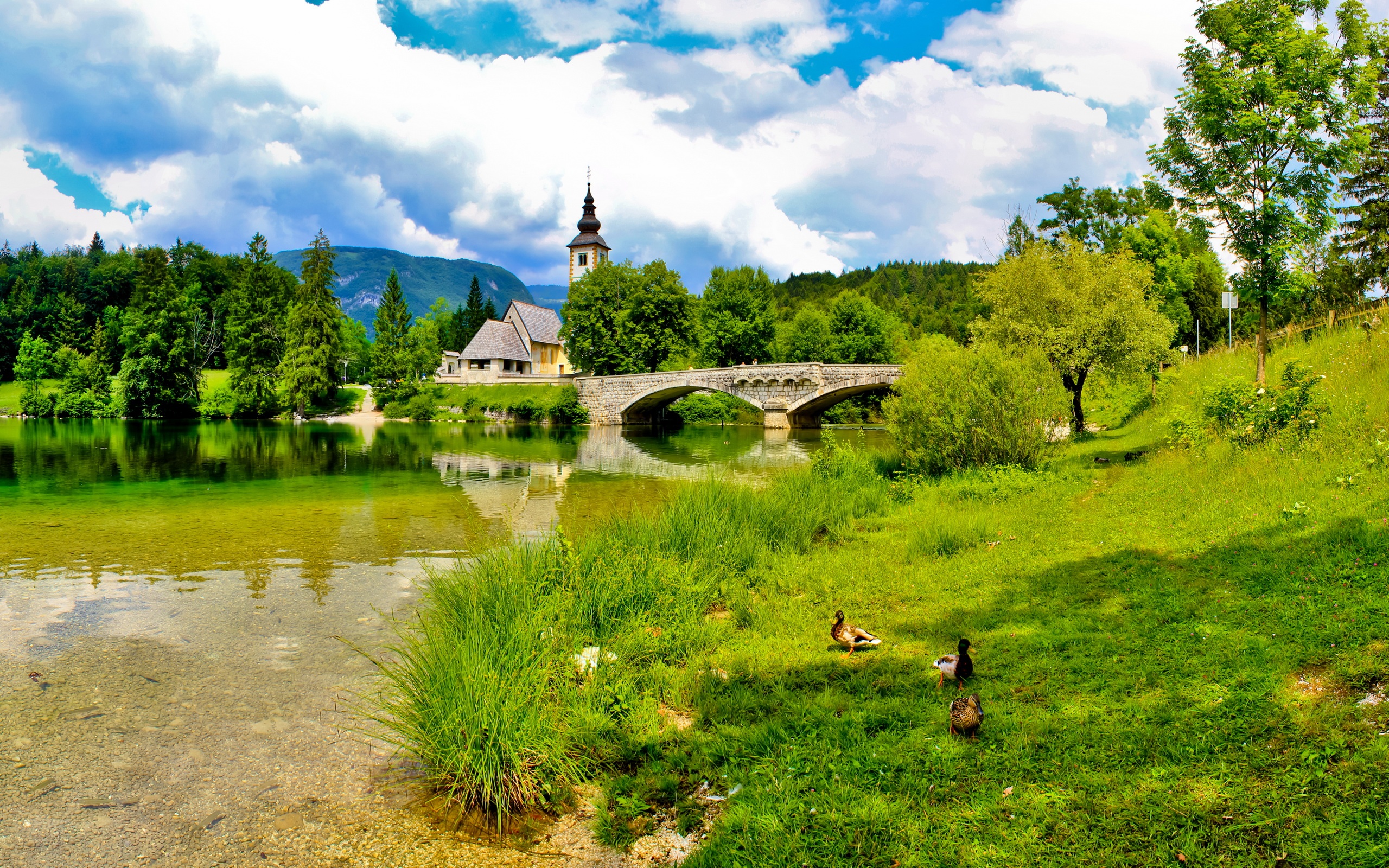 Wallpapers summer landscape church river on the desktop