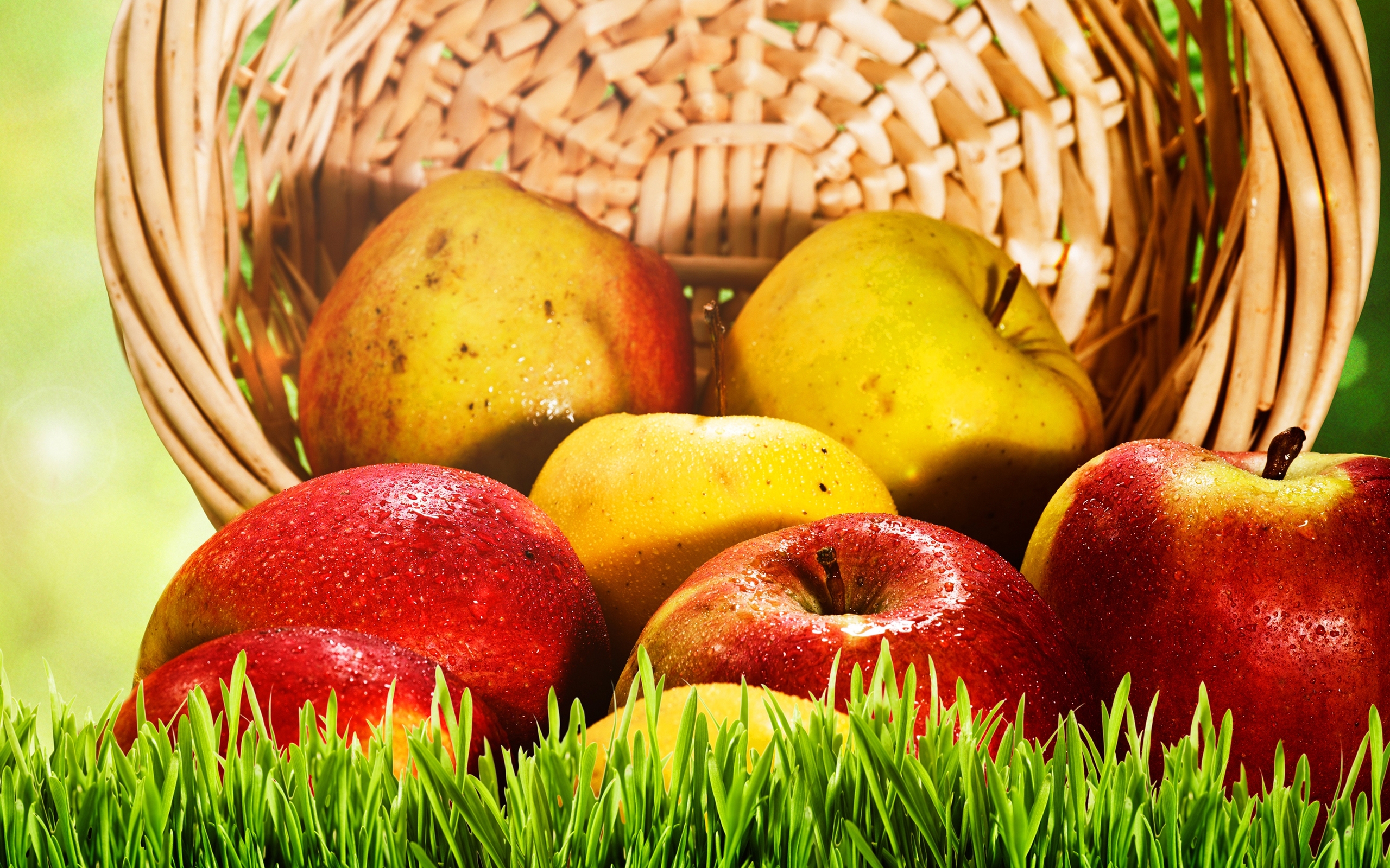 Wallpapers apples basket fruits on the desktop