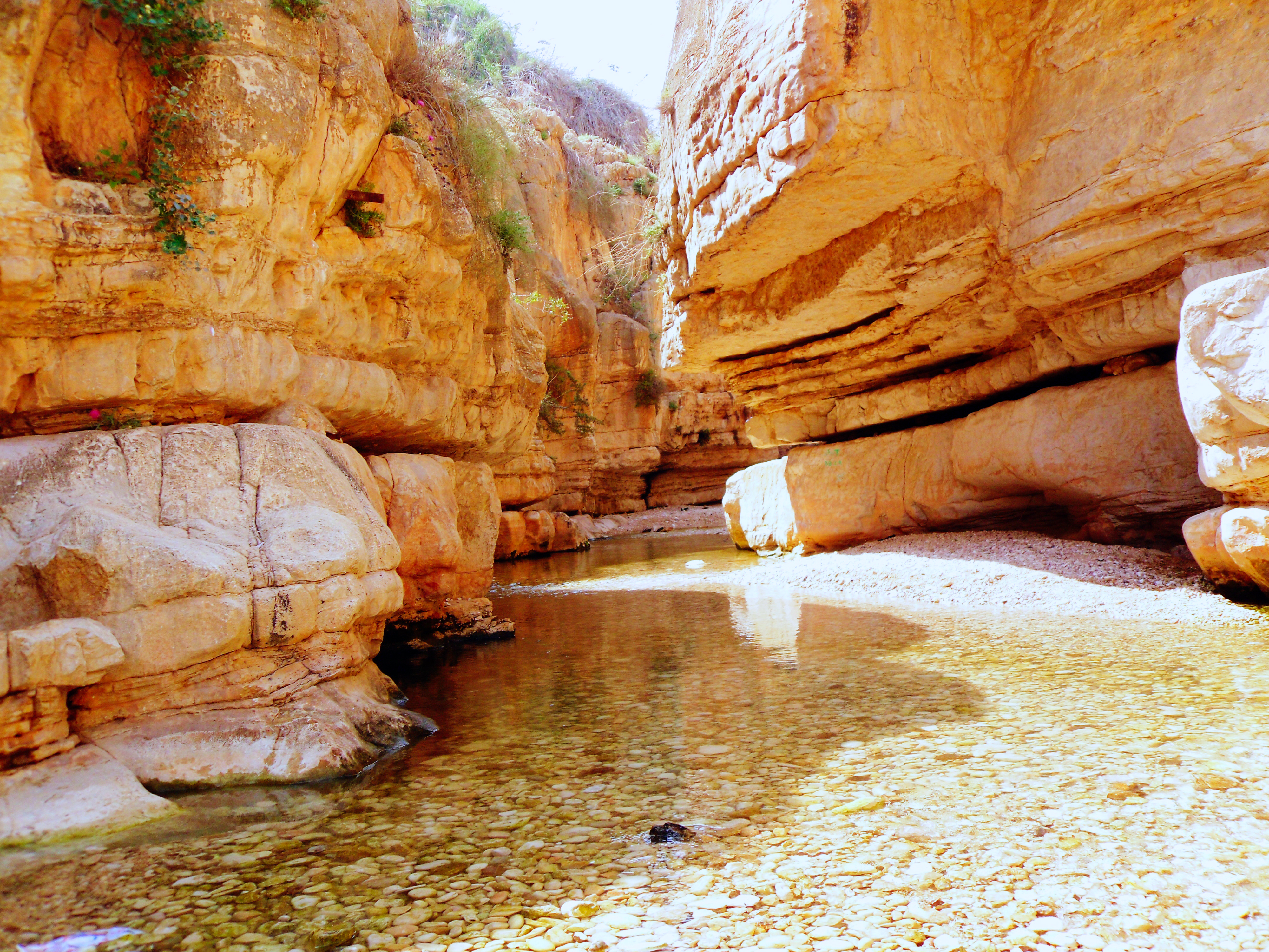 桌面上的壁纸自然 峡 岩石