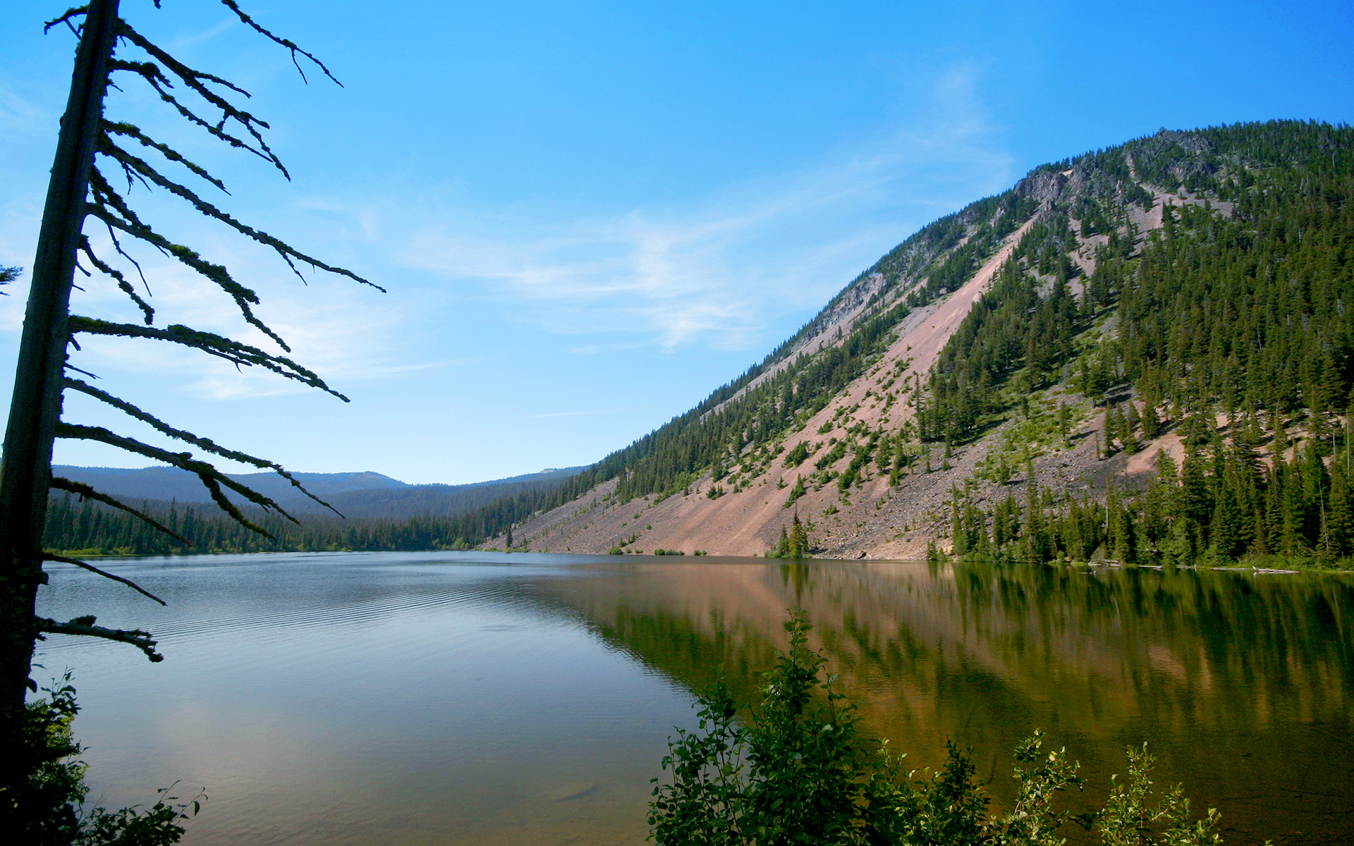 Бесплатное фото Заставка вода, река, озеро на андроид