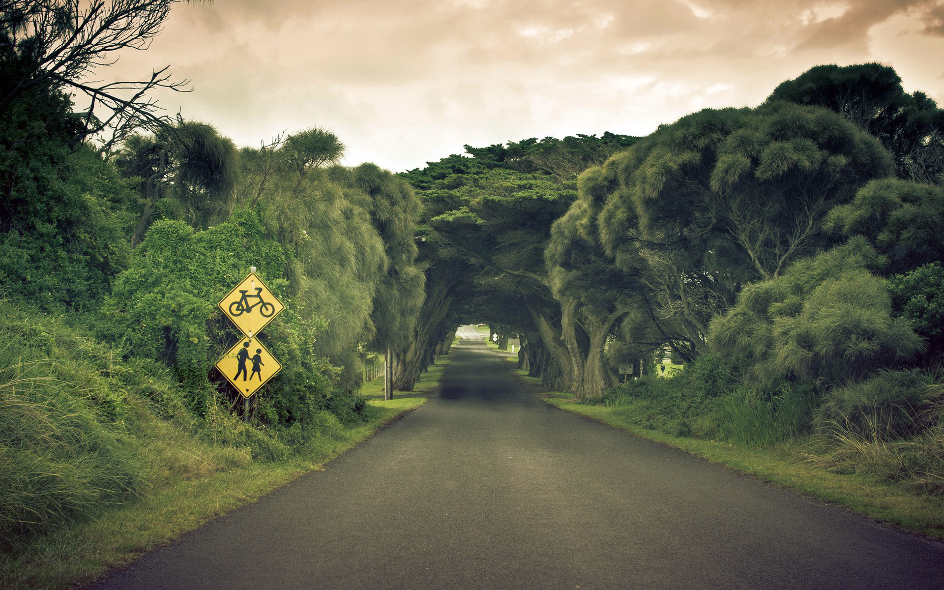 Wallpapers trees signs country on the desktop