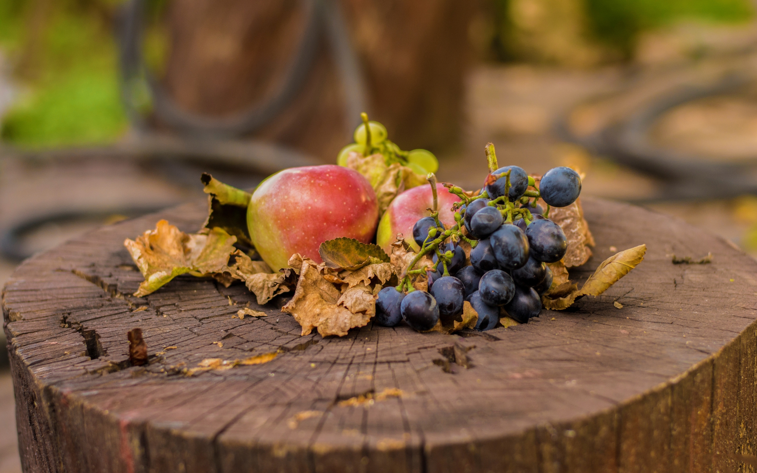 Wallpapers stump leaves fruit on the desktop