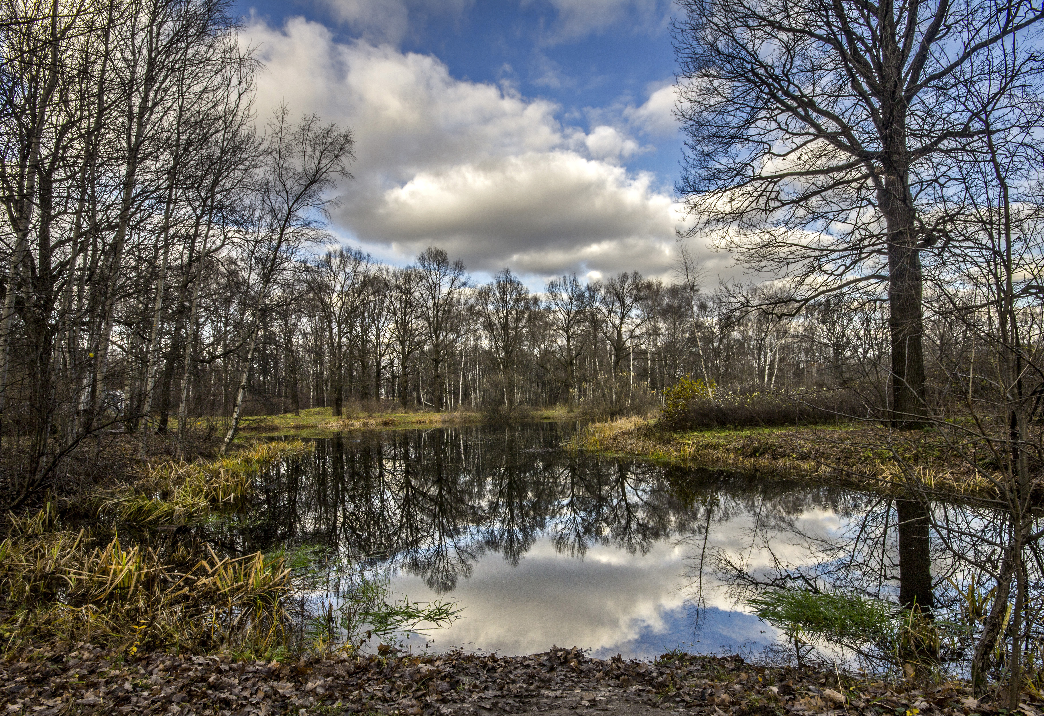 Wallpapers autumn pond sky on the desktop