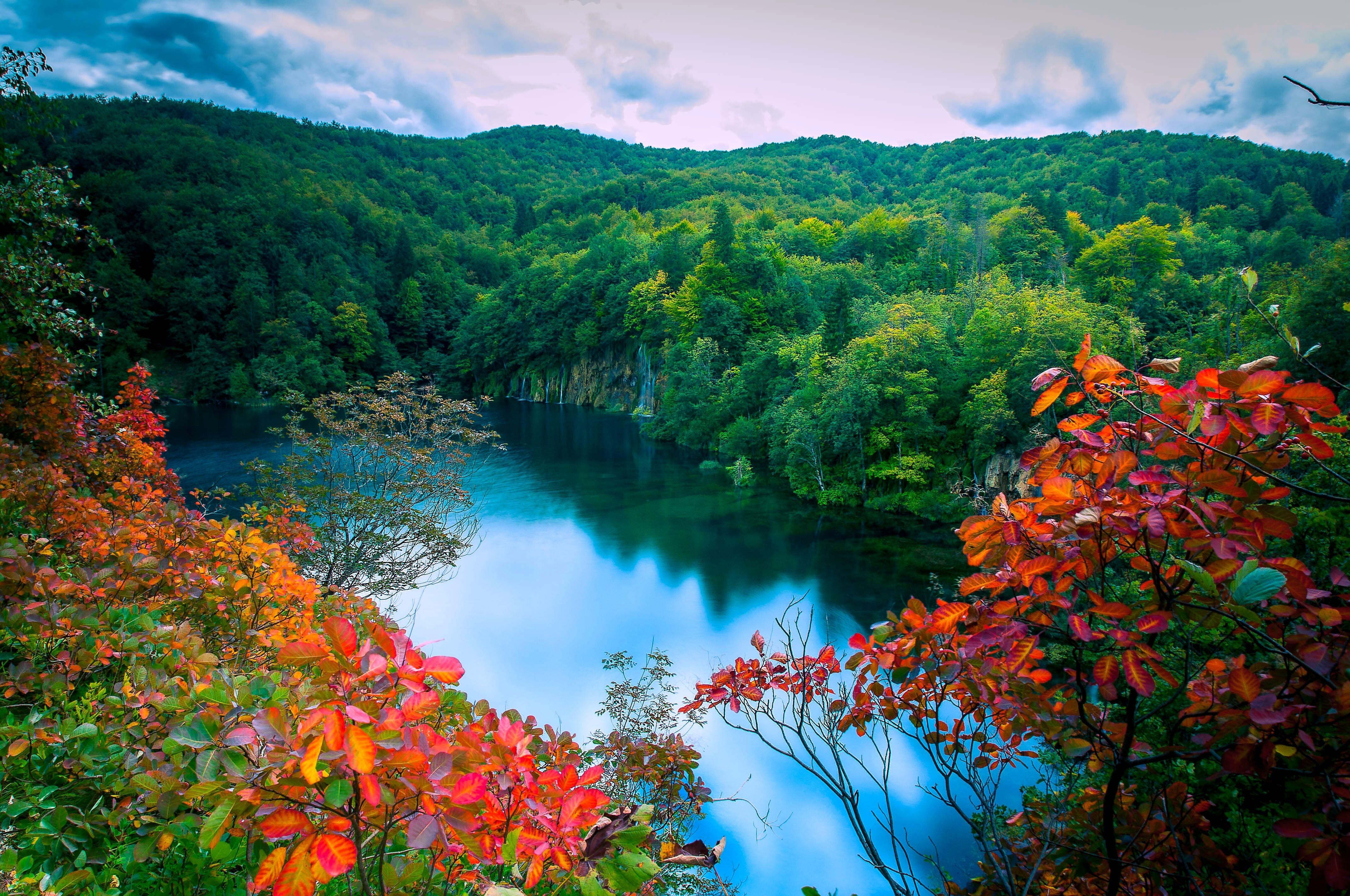 Wallpapers autumn forest lake on the desktop