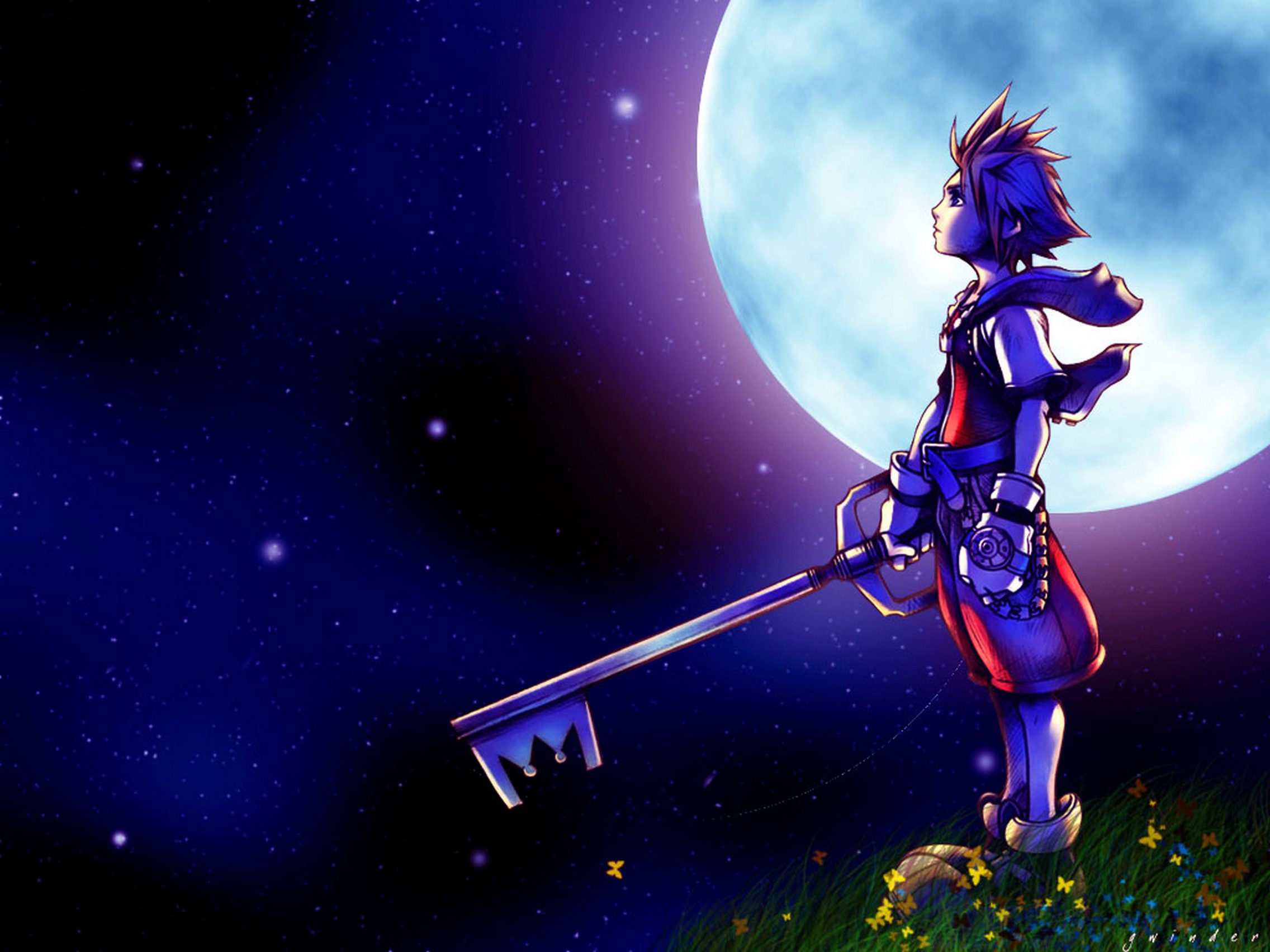 Wallpapers kingdom hearts sora grass on the desktop