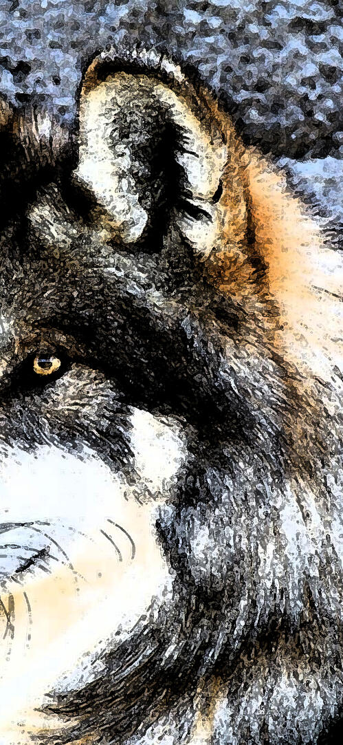 Обои кристаллизованный волк wolf тёмный фон на рабочий стол