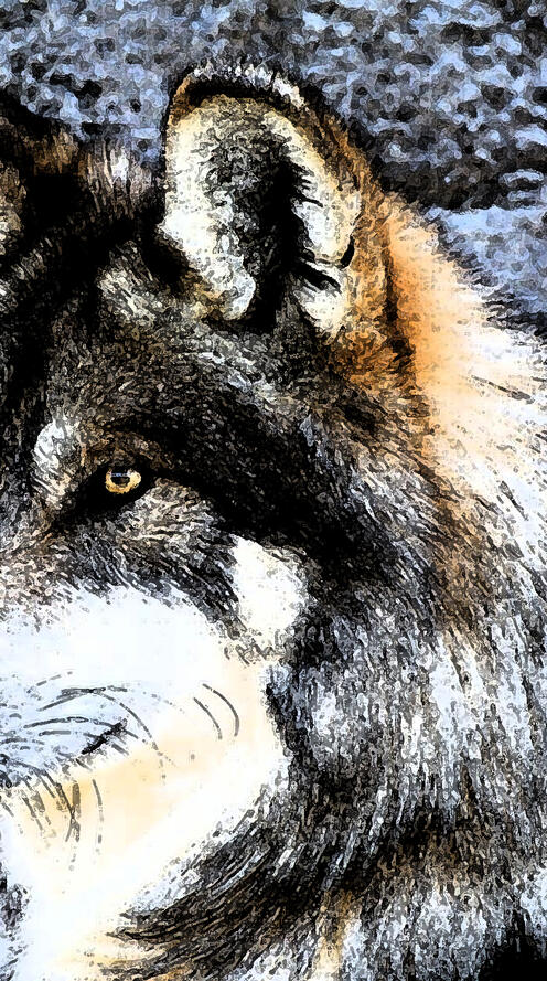 Обои кристаллизованный волк wolf тёмный фон на рабочий стол