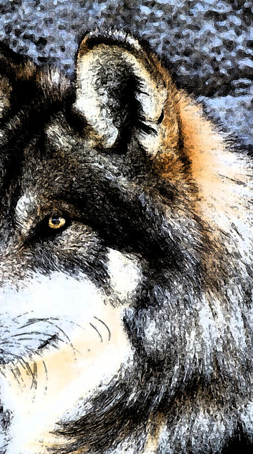 Обои кристаллизованный волк wolf тёмный фон на рабочий стол