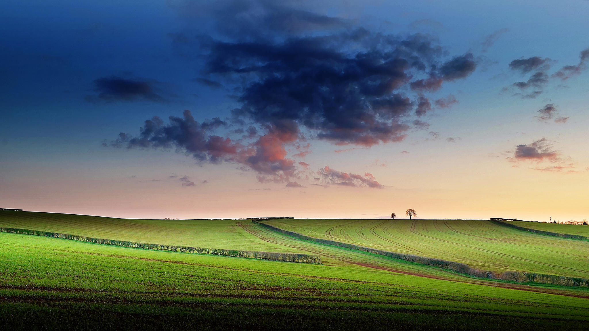 Wallpapers sunset green grass sky on the desktop