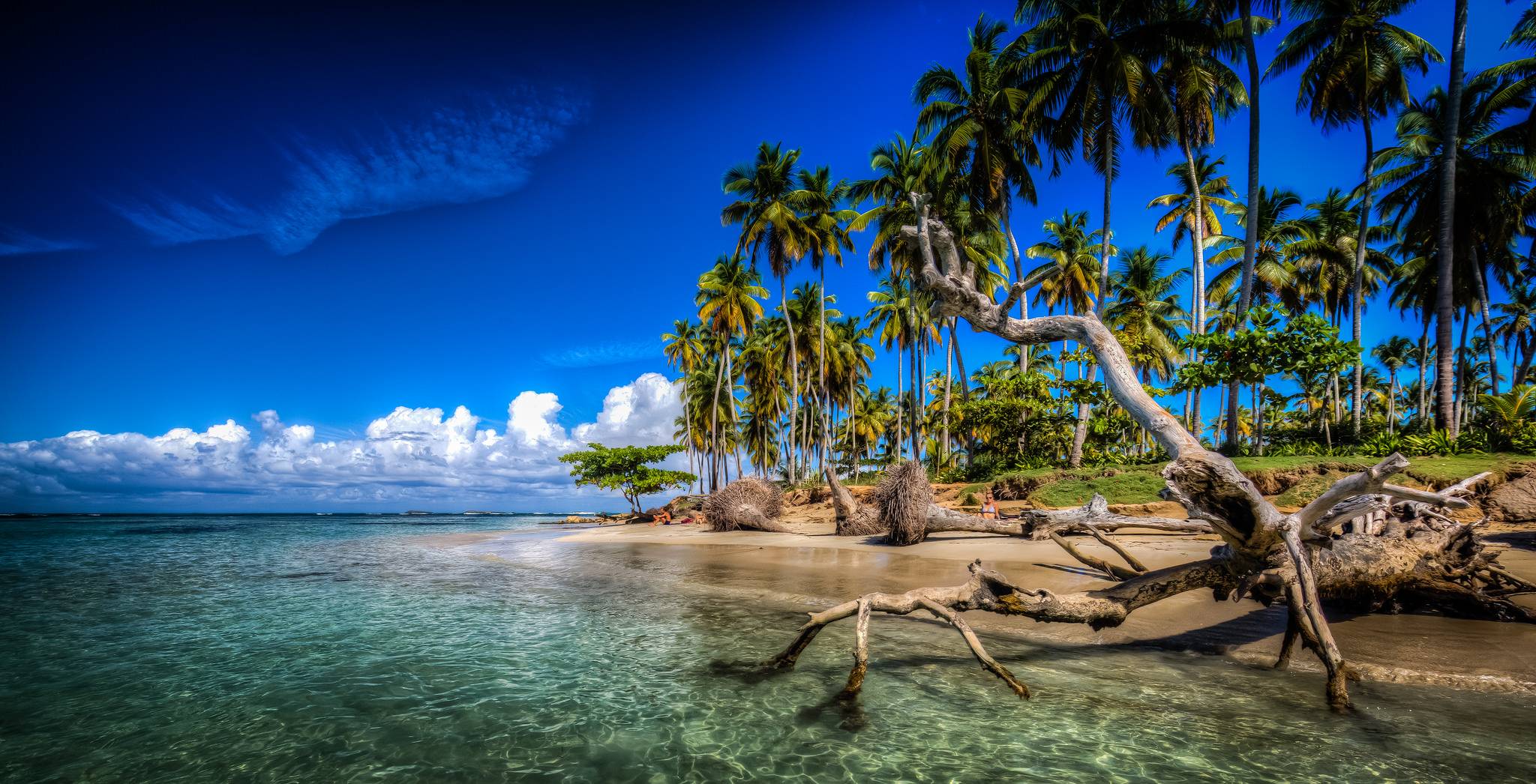 Wallpapers Las Terrenas Samana Dominican Republic on the desktop