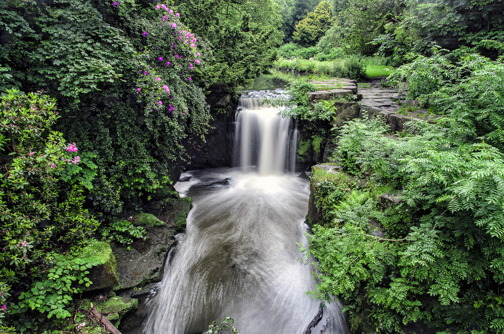 桌面上的壁纸纽卡斯尔 Jesmond Dene 瀑布 Jesmond Dene公共公园