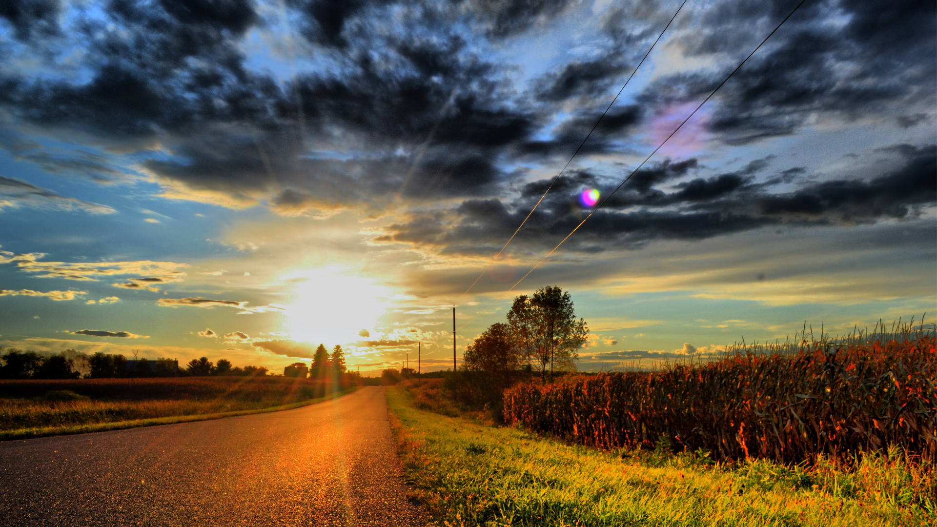 Wallpapers road asphalt roadside on the desktop