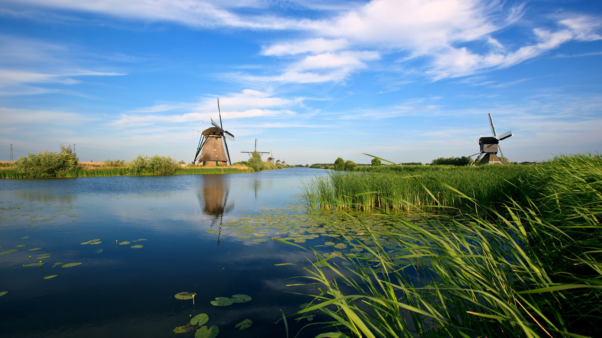 Free photo Windmill on the bank of the river