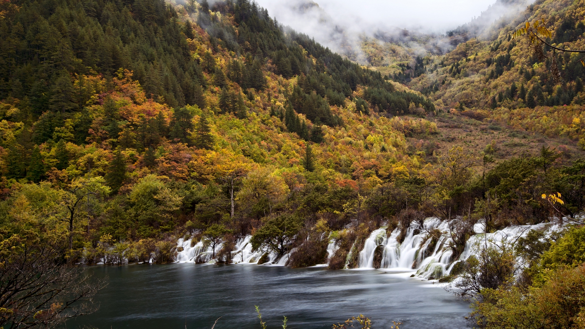 桌面上的壁纸森林 山区 水