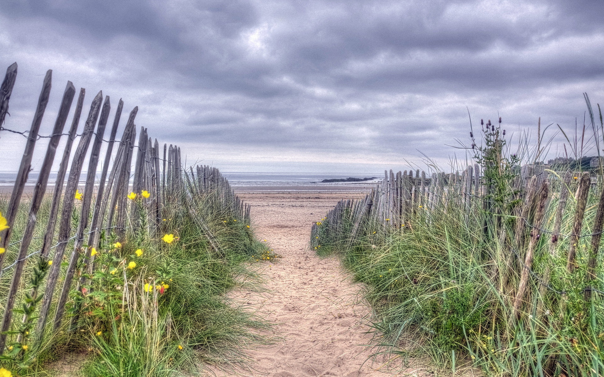 Wallpapers fence grass beach on the desktop