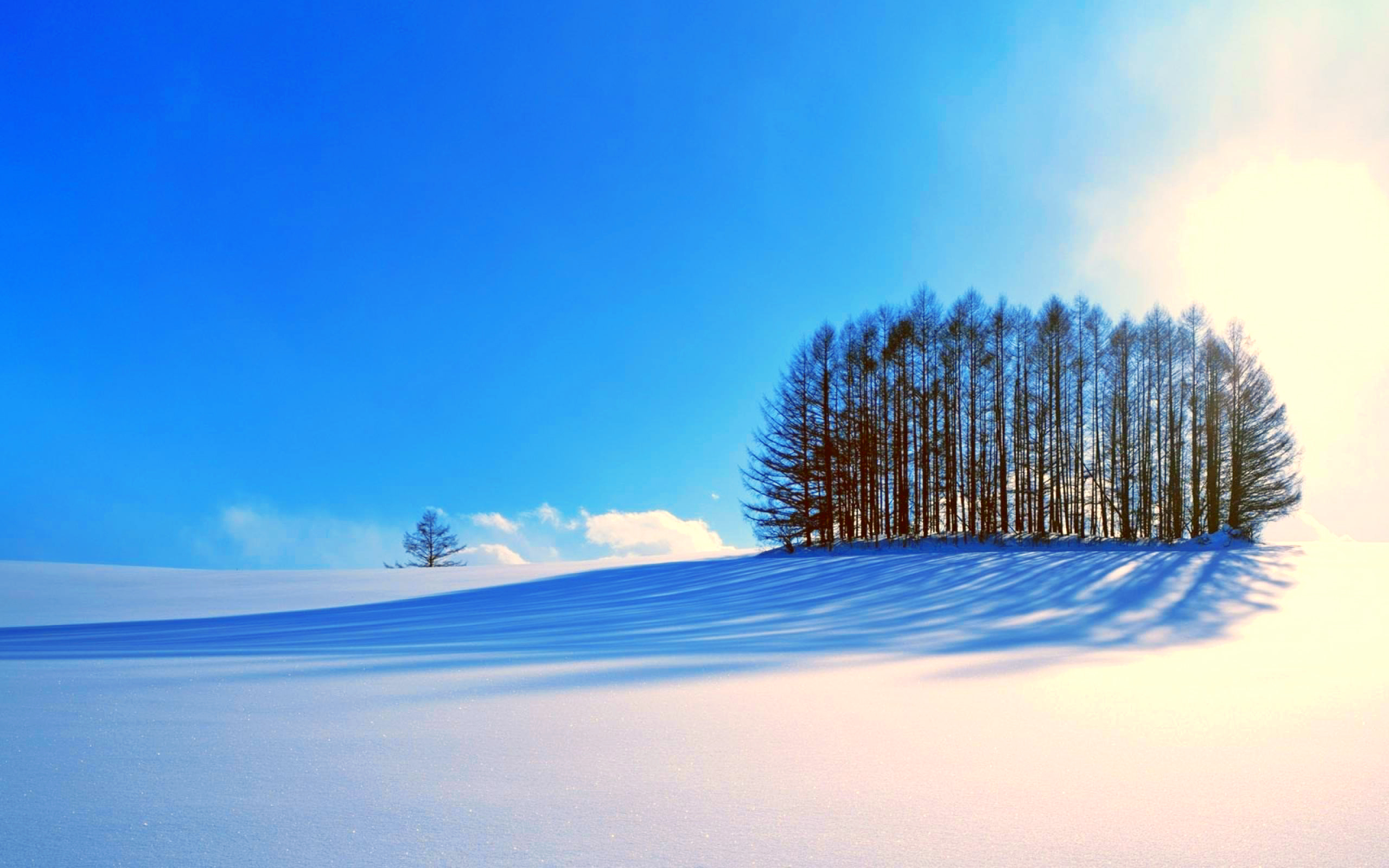 Wallpapers snow shadow nature on the desktop