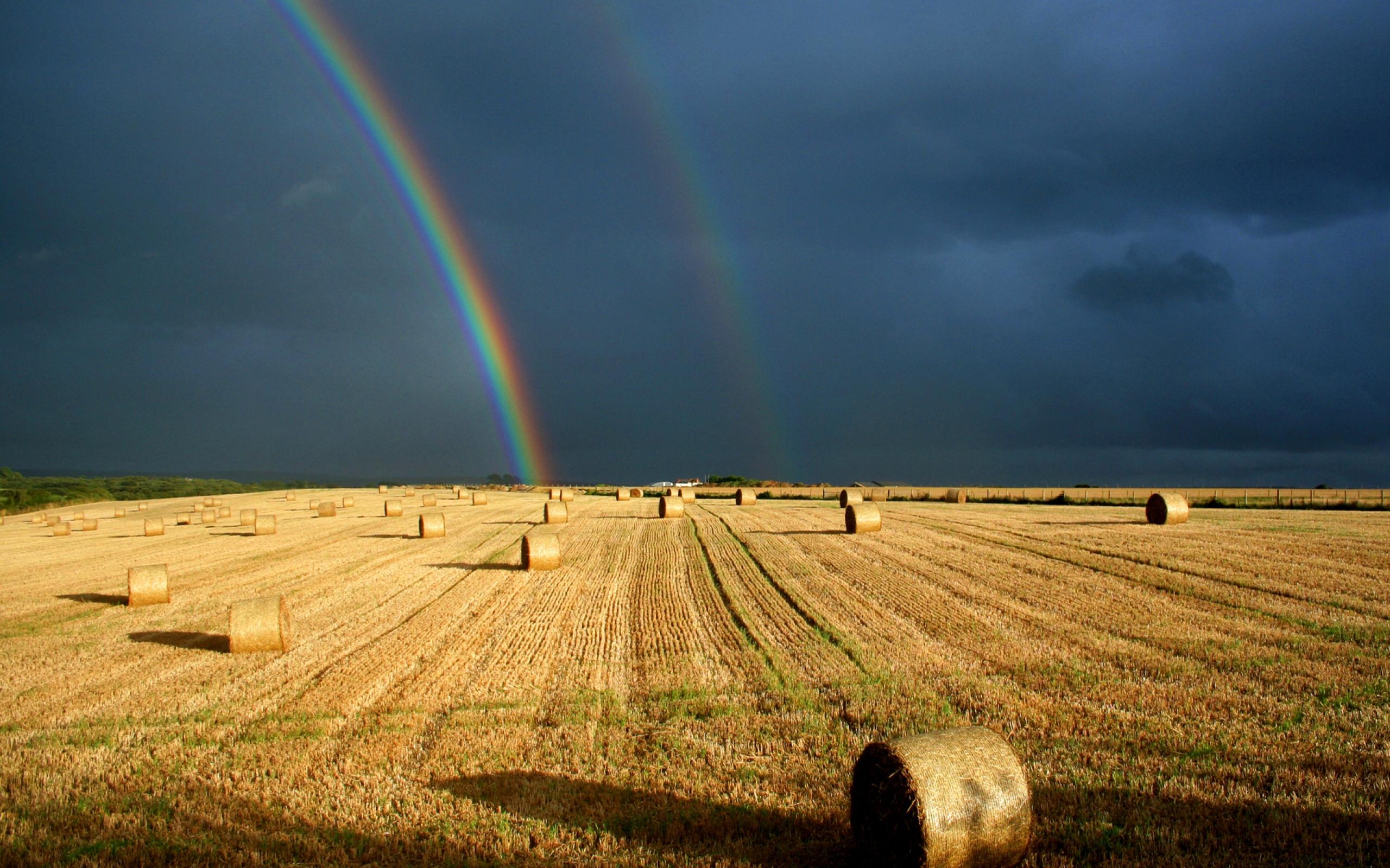 Wallpapers field straw rainbow on the desktop