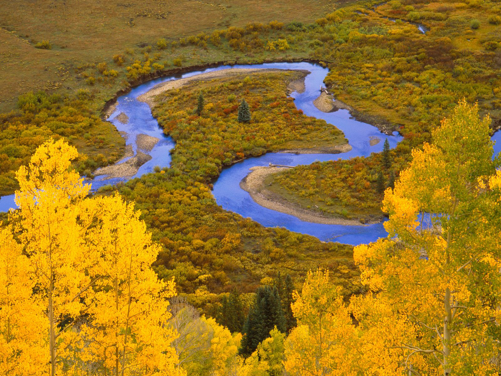 Free photo Winding river in a fall forest with yellow leaves