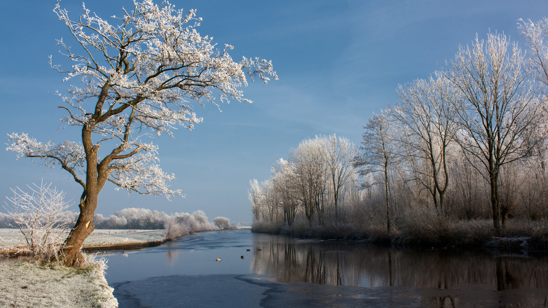 Free photo Frosty banks by the river