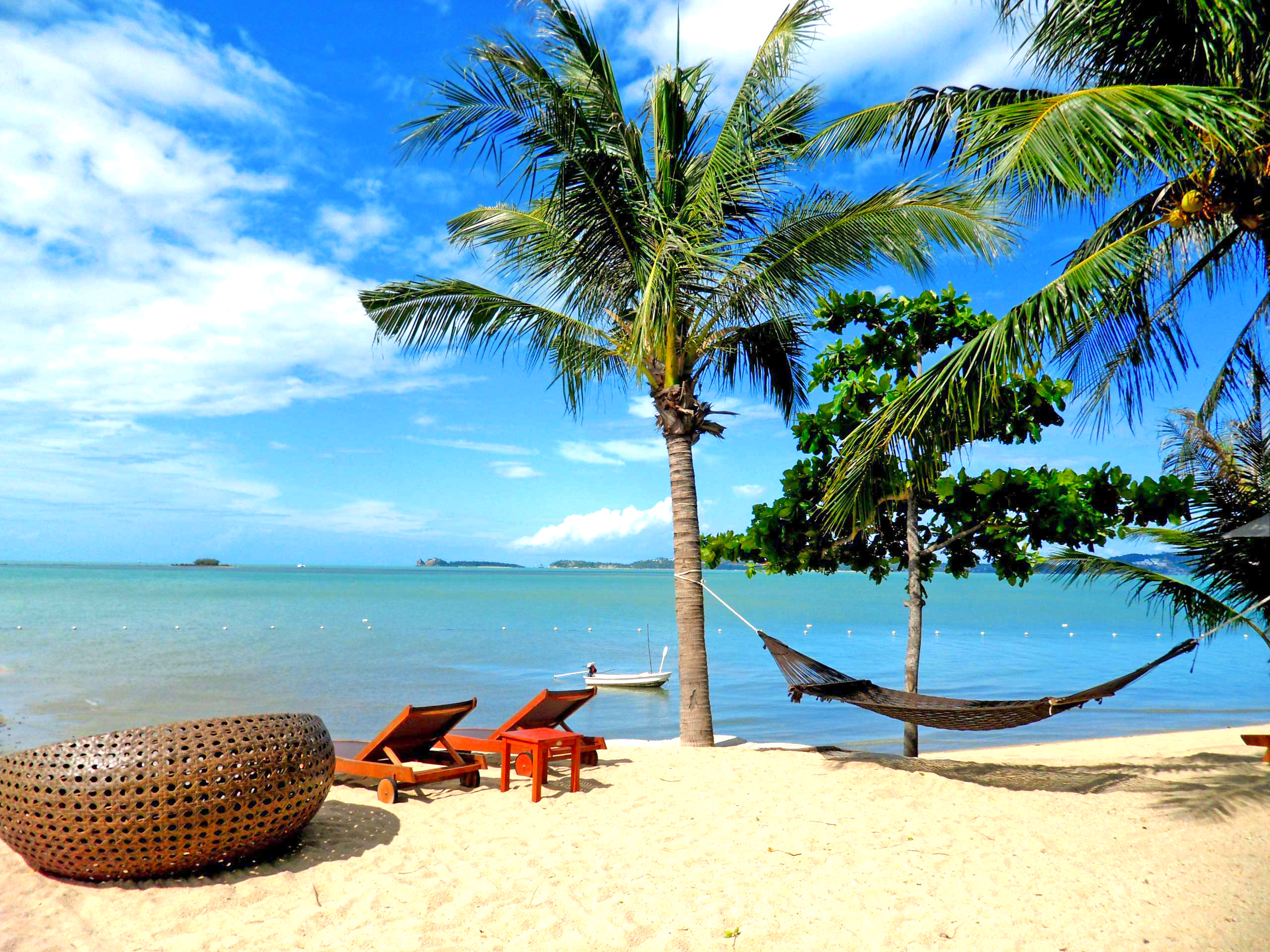 Wallpapers landscapes sand beach palms on the desktop