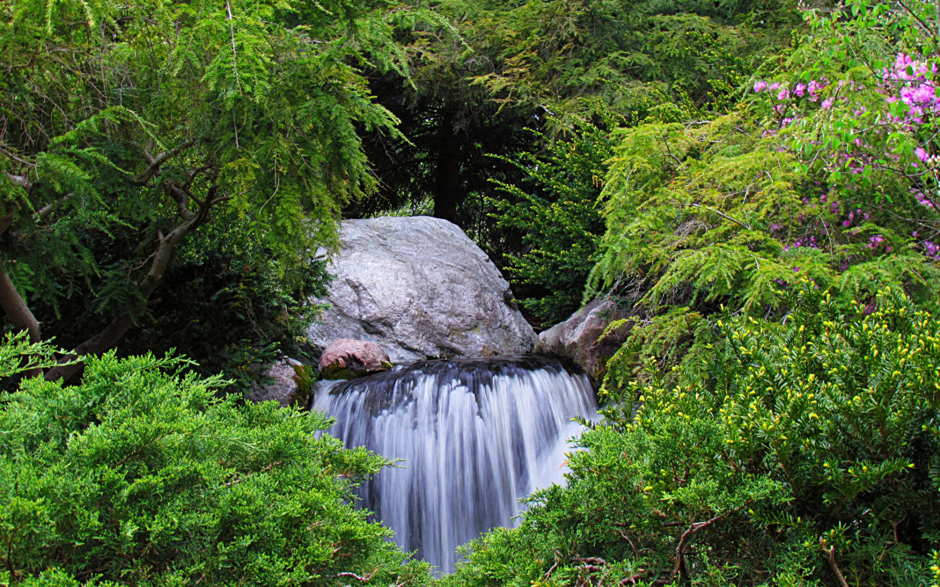 Wallpapers waterfall stream forest on the desktop