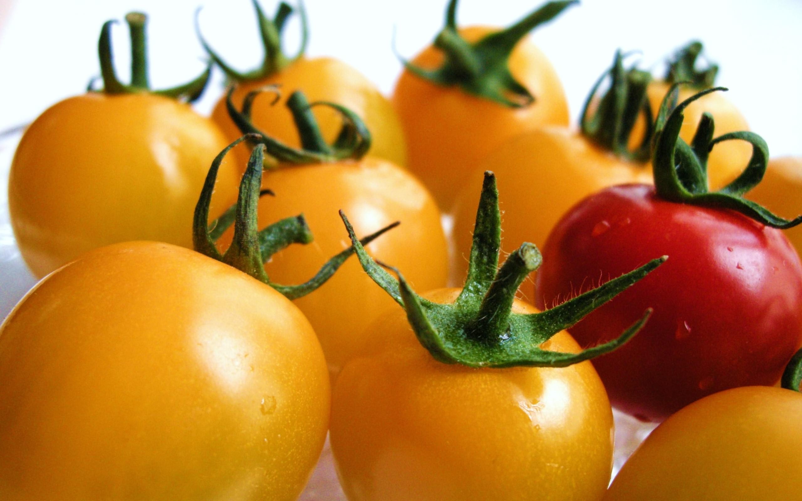 Wallpapers tomatoes cherry yellow on the desktop