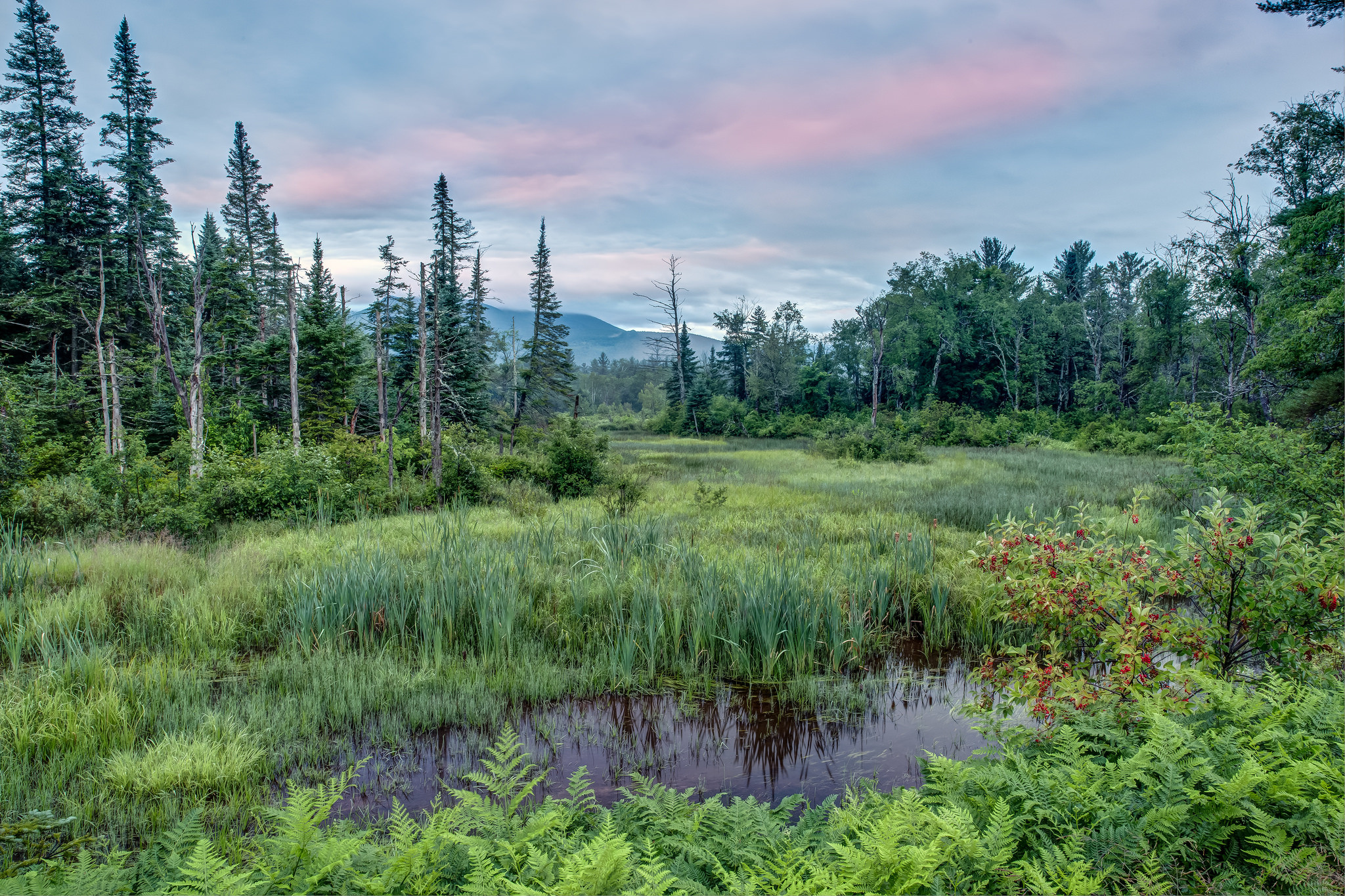 Wallpapers New Hampshire New England pond on the desktop