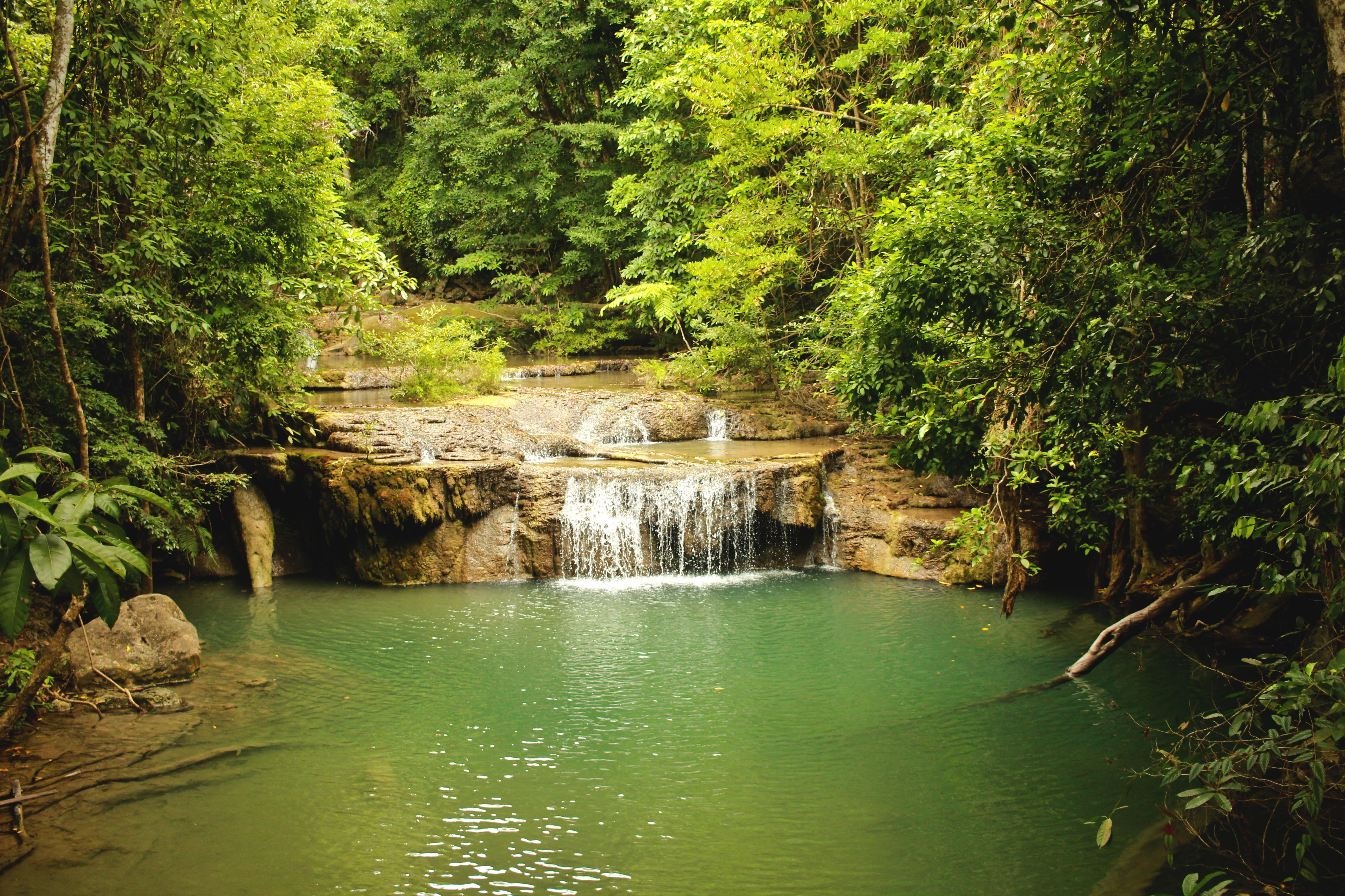 Wallpapers waterfall summer green leaves on the desktop