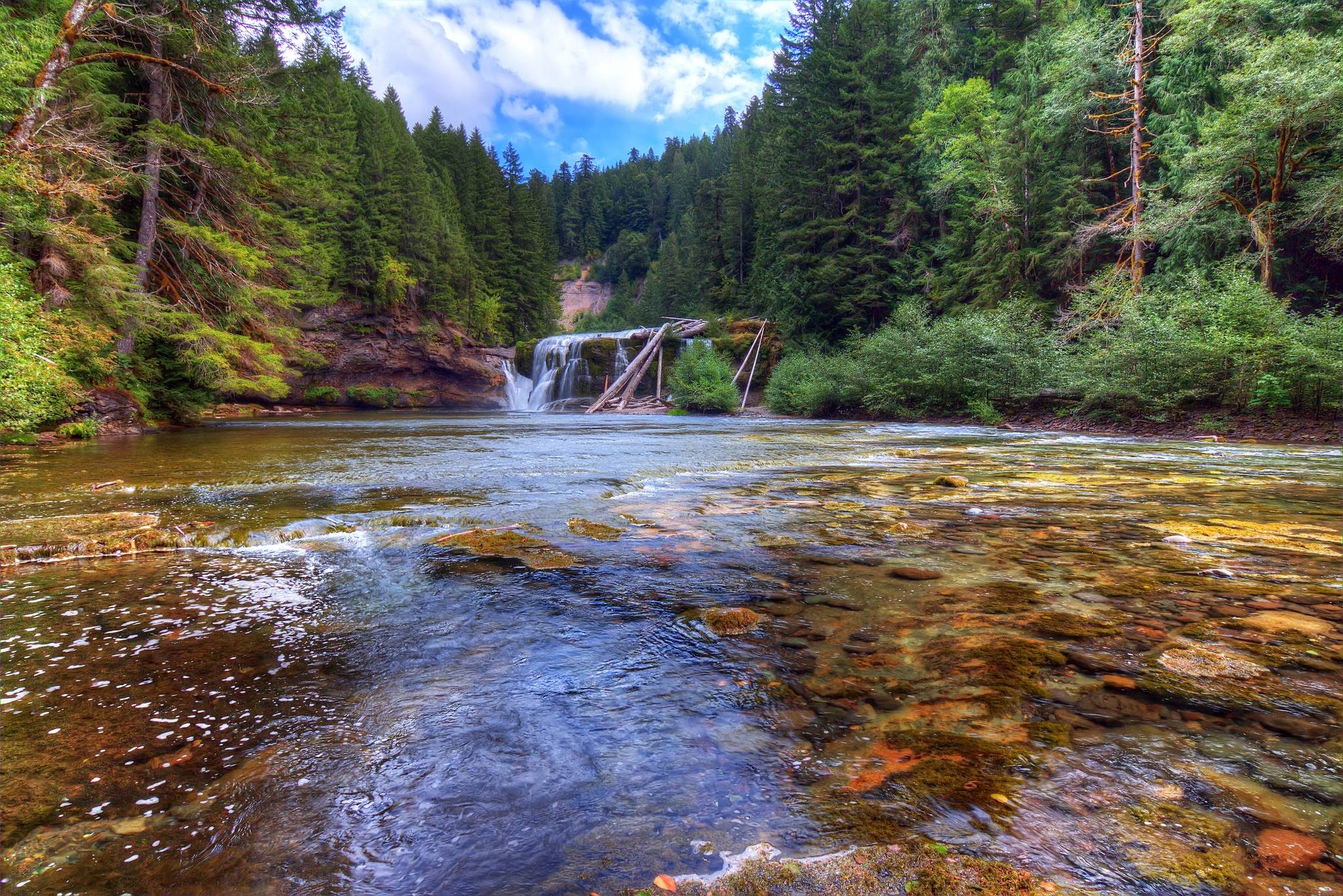 Обои Lower Lewis River Falls Lewis River Washington на рабочий стол